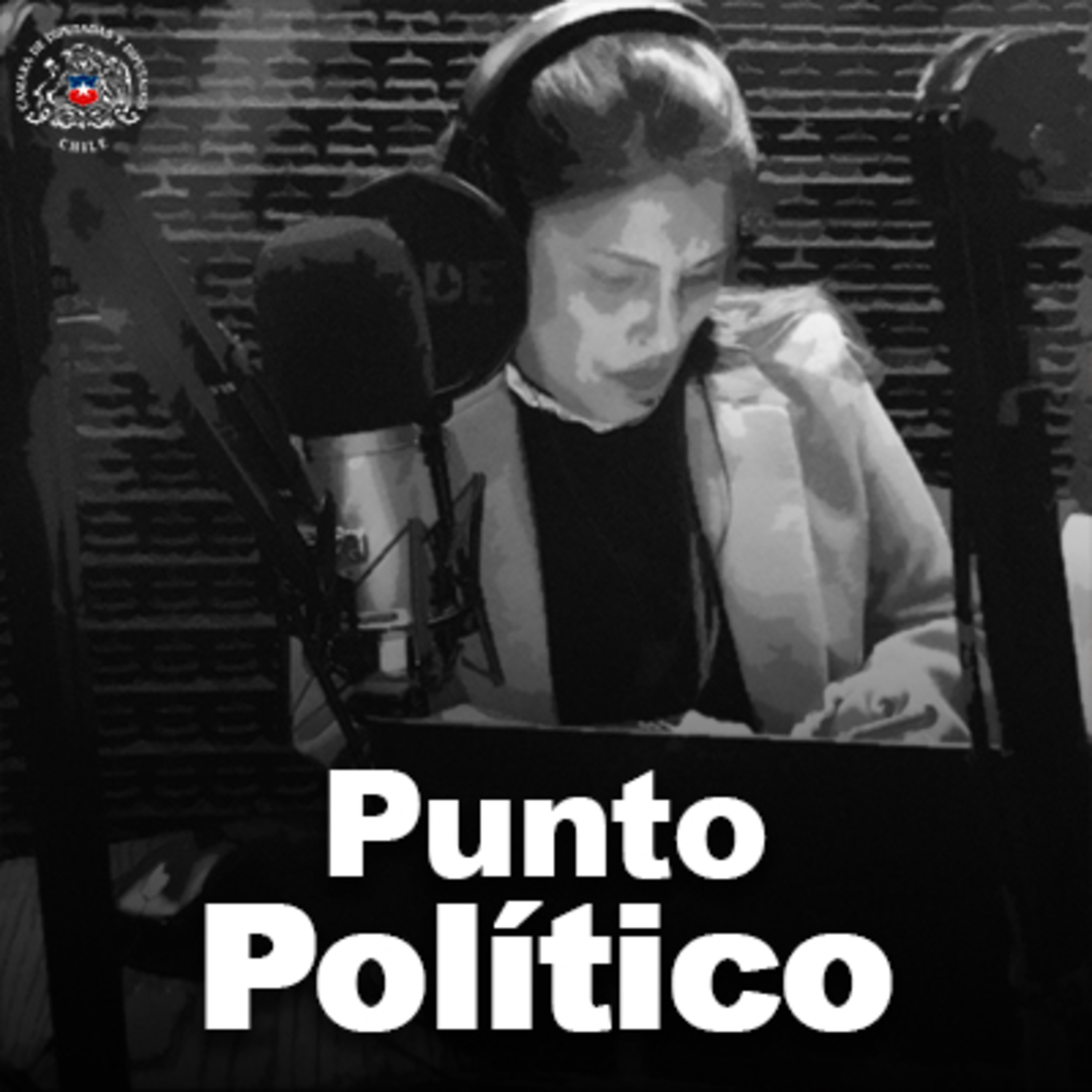 Punto Político: Diputado (PS) Jaime Naranjo episode artwork