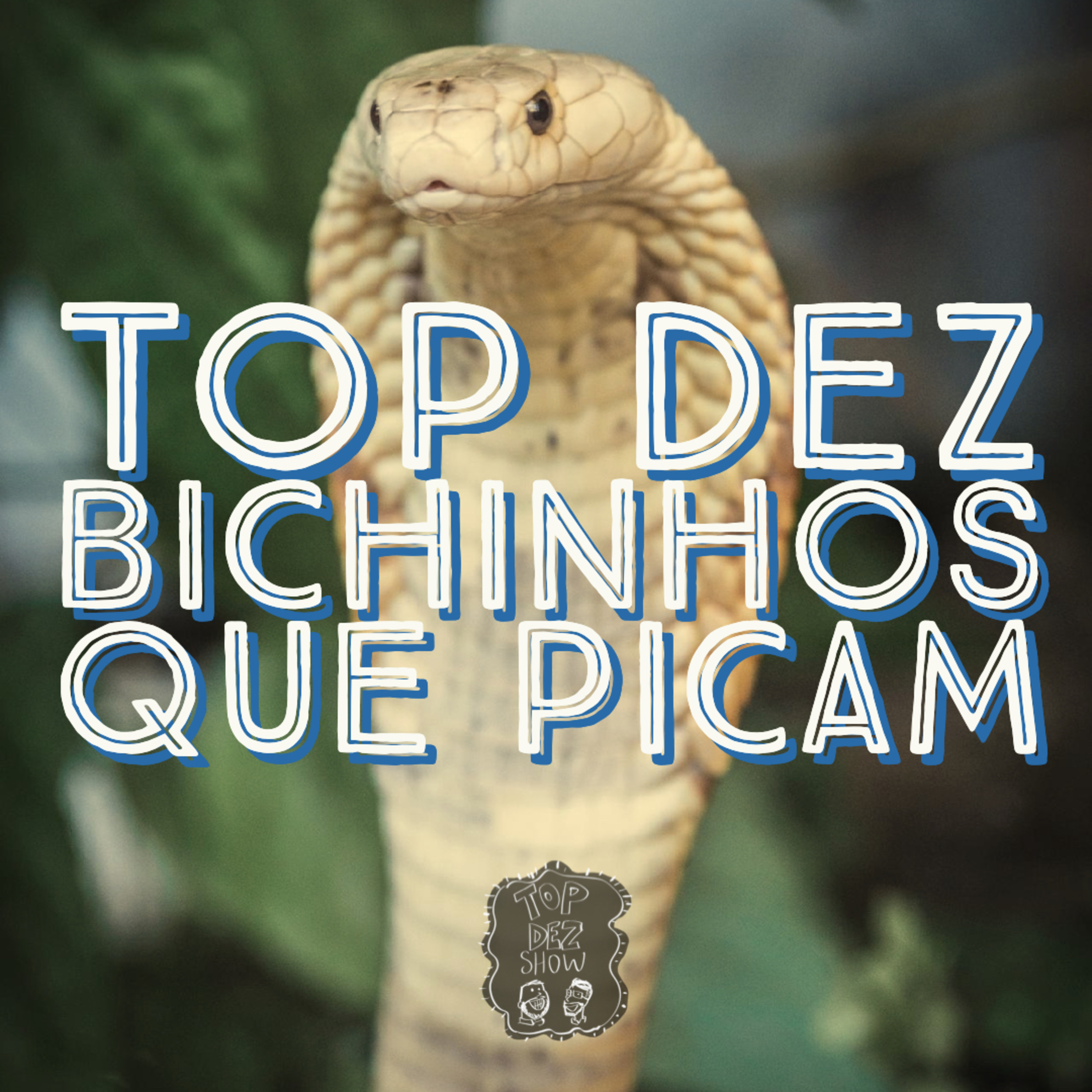 Top Dez Bichinhos que Picam