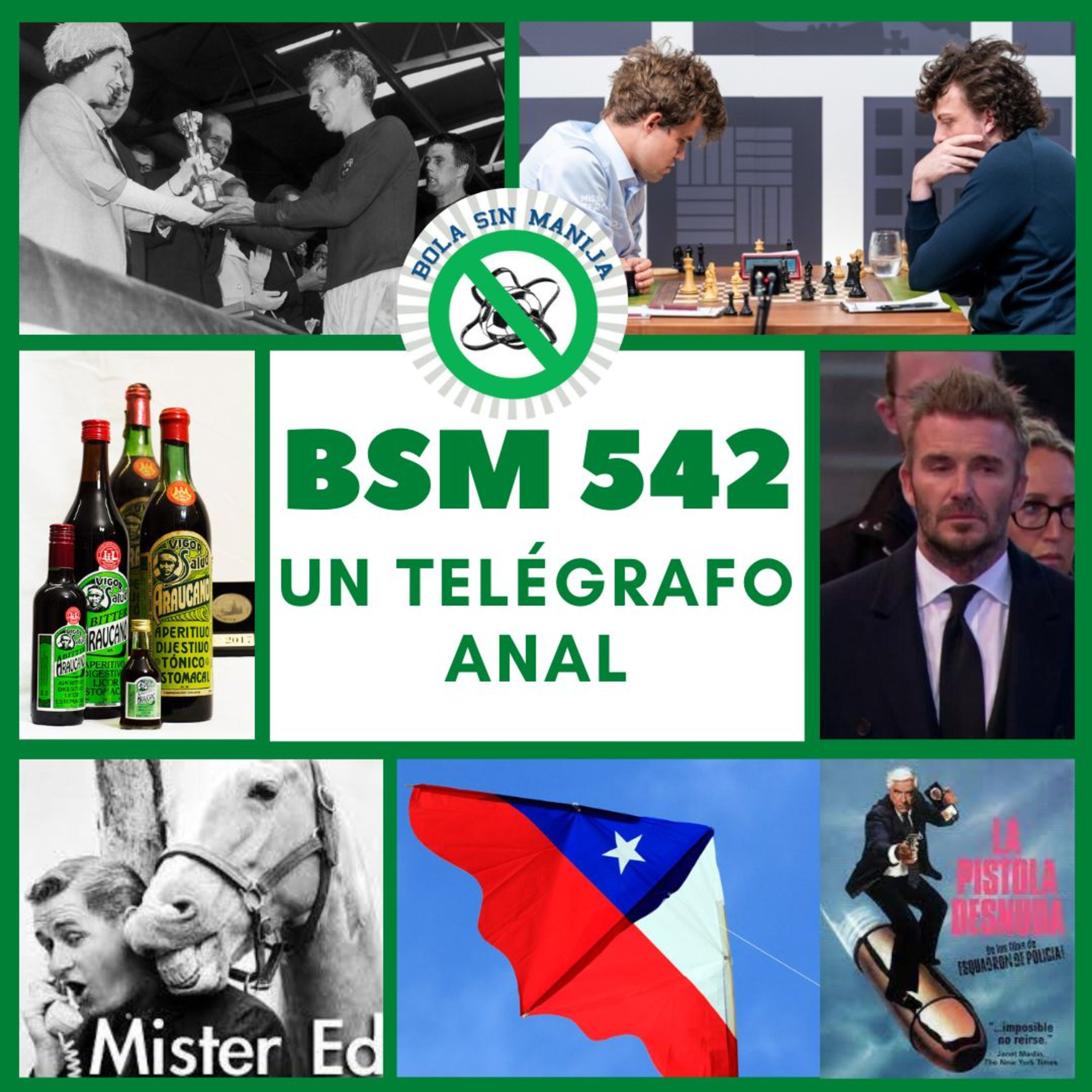 Bola sin manija