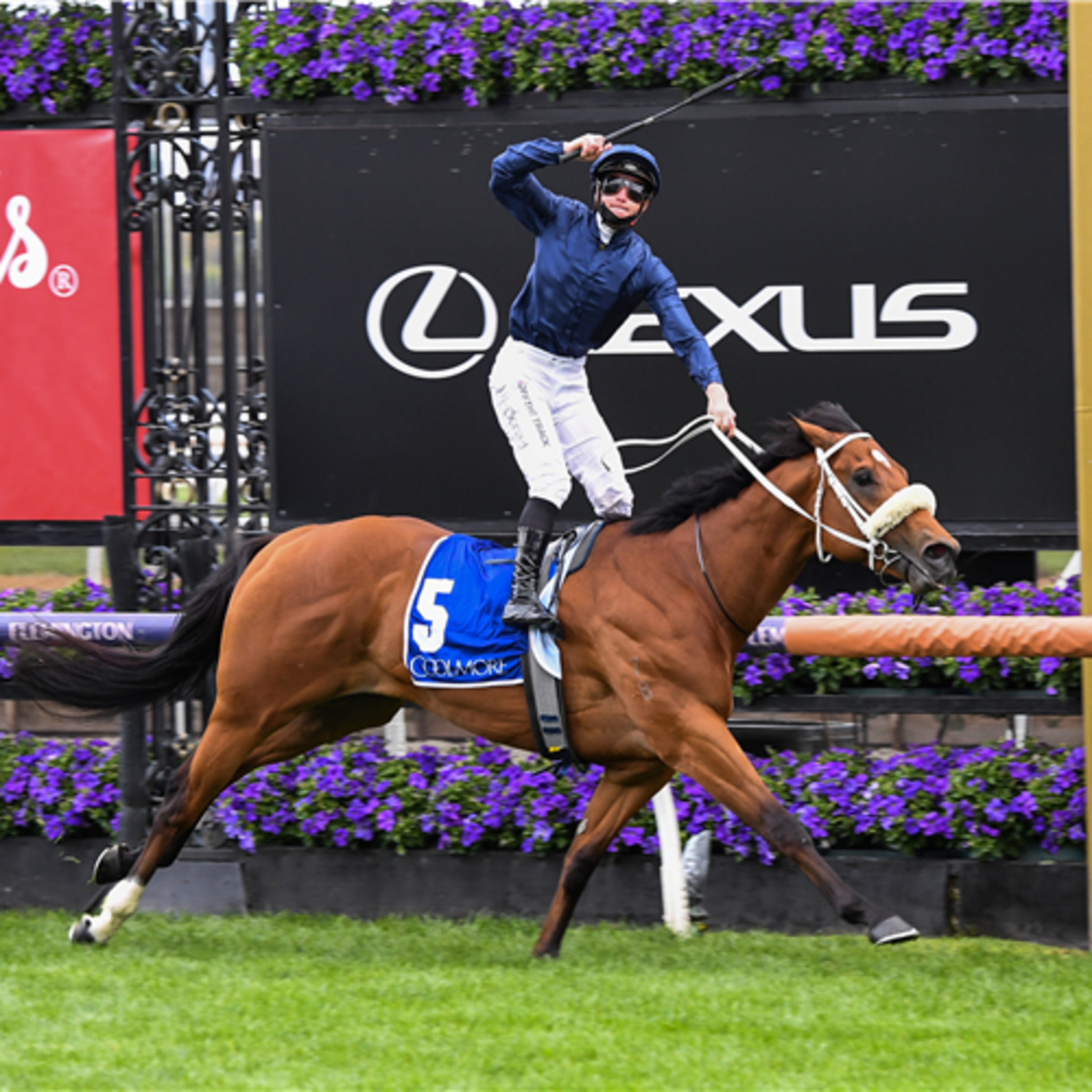 Ep-4 Black Caviar Lightning Stakes review episode artwork
