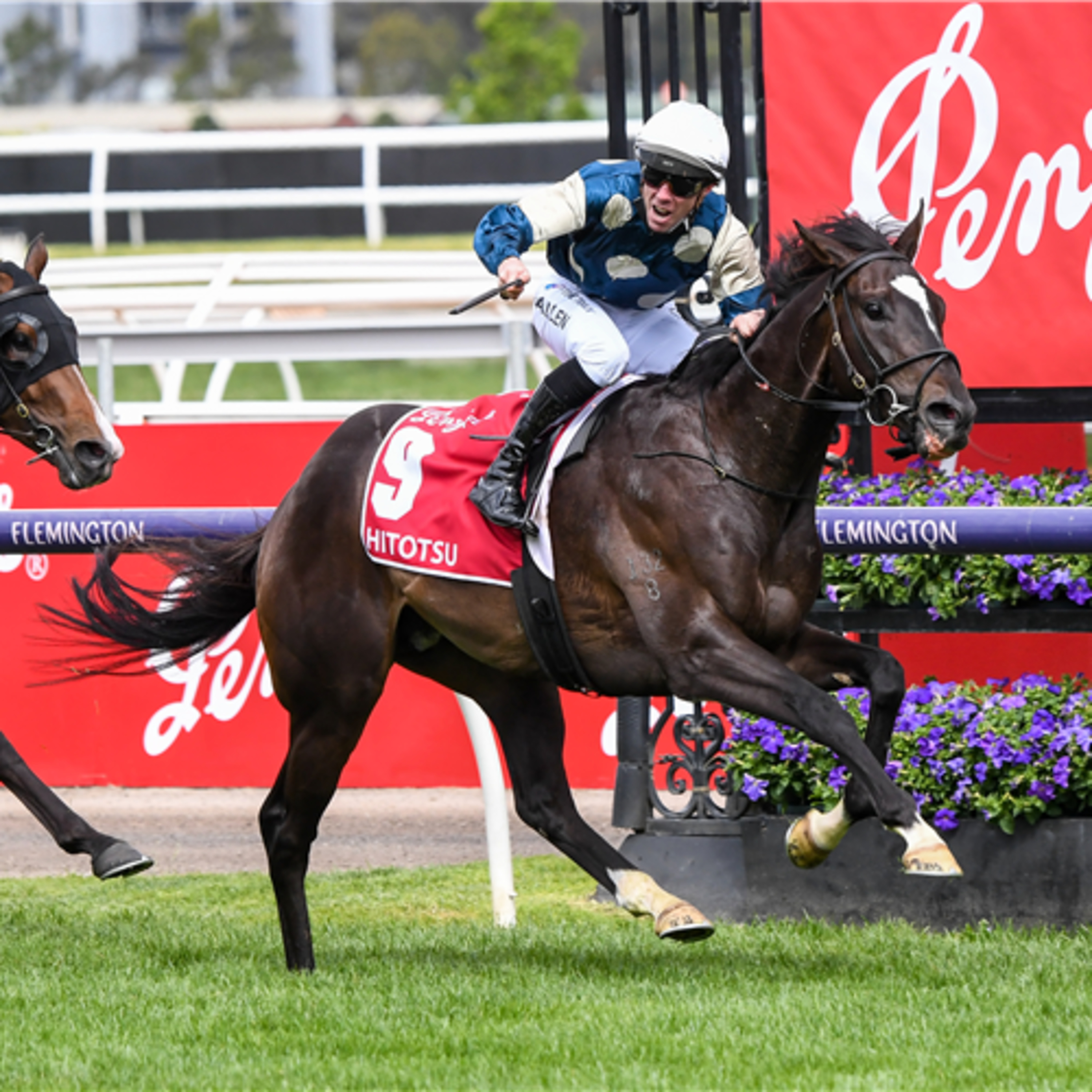 Ep 8- Australian Guineas and Canterbury Stakes Review episode artwork