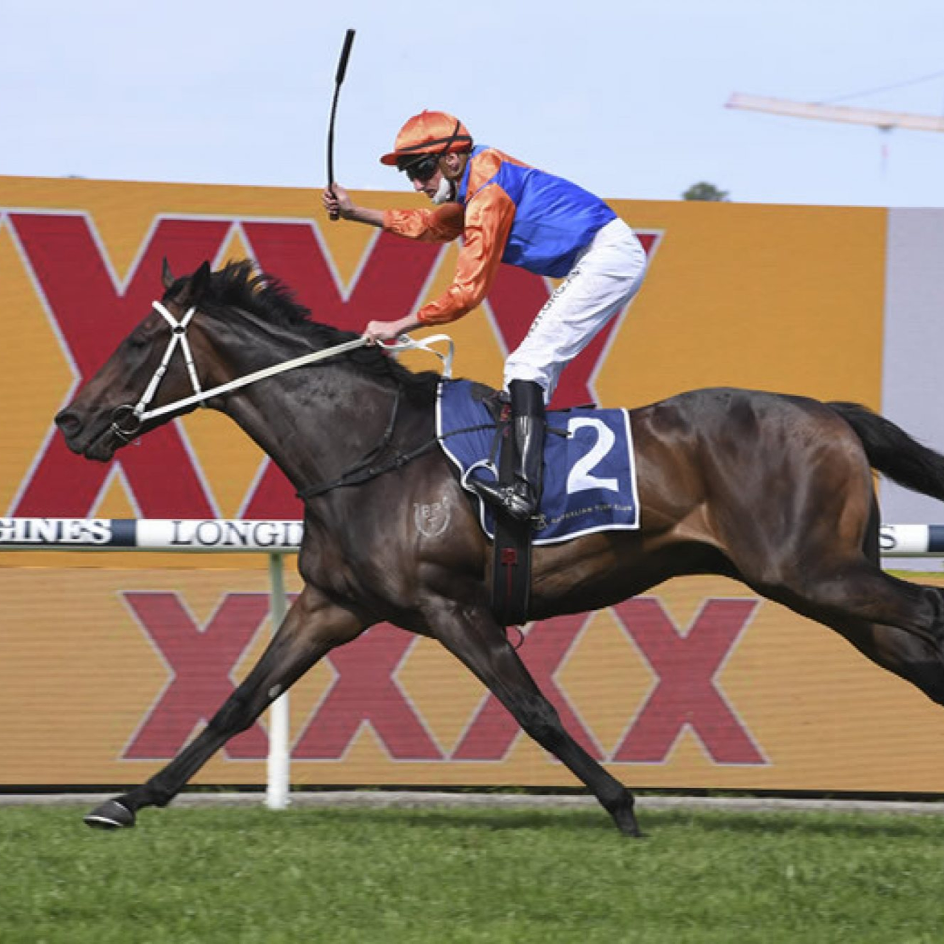 Ep 9- Australian cup/ Newmarket and Coolmore Classic Preview episode artwork