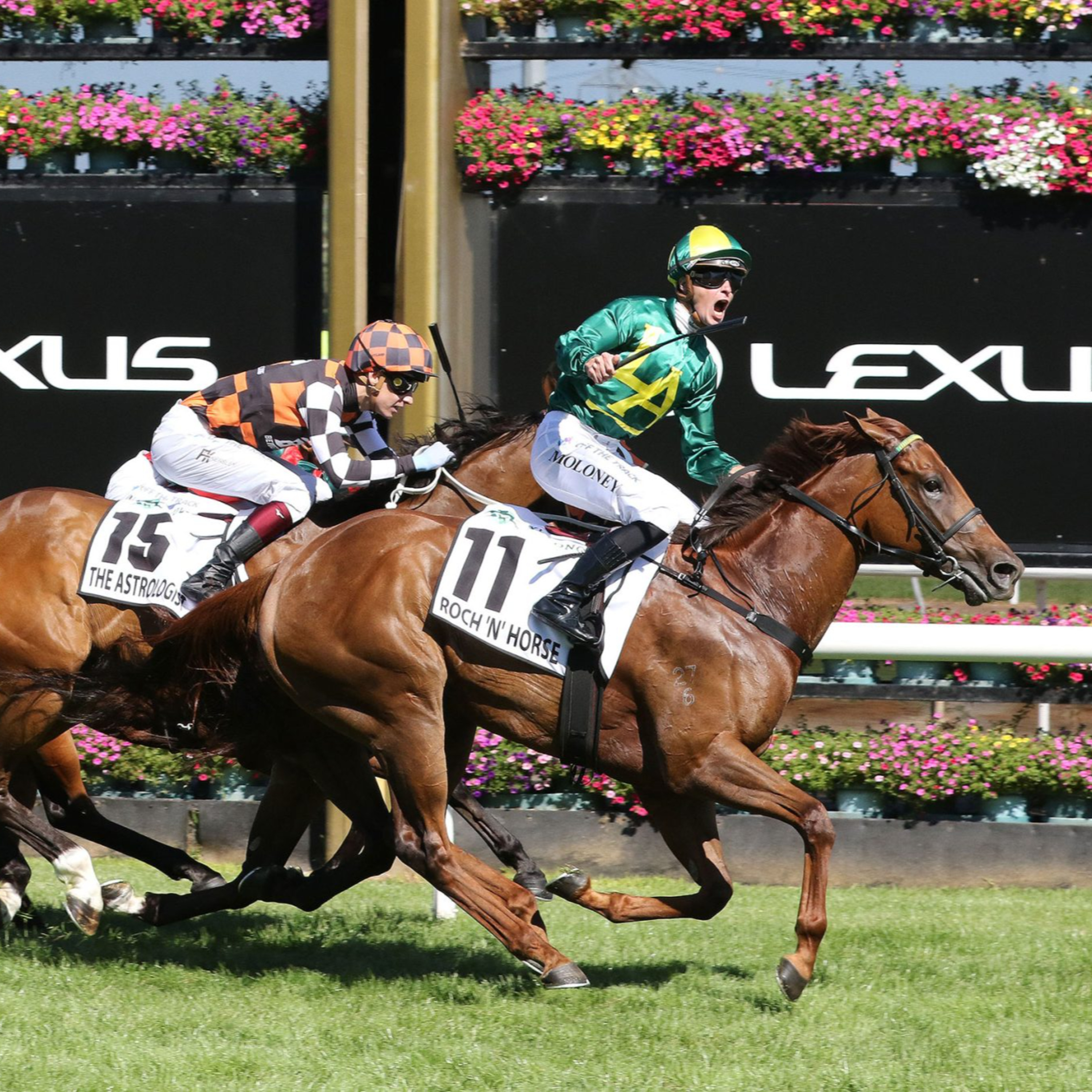 Ep 10- Super Saturday and Coolmore Classic review episode artwork