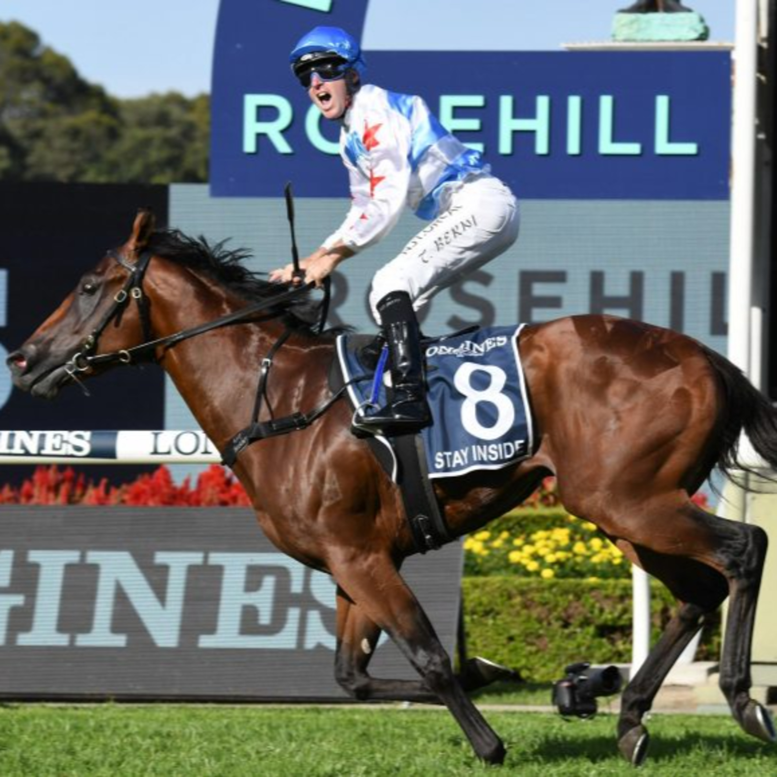 Ep 11- All Star Mile and Golden Slipper preview episode artwork