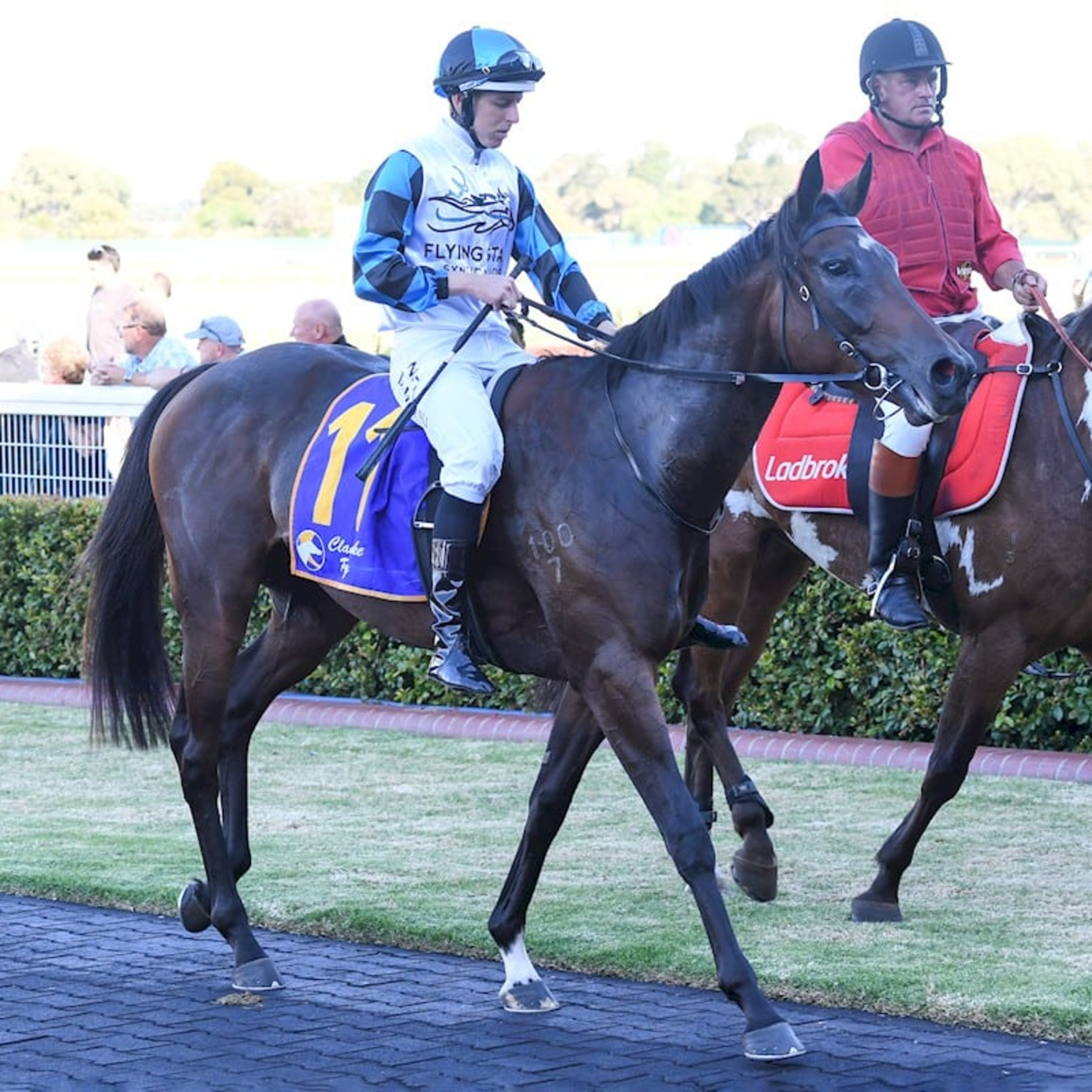 Ep 13- Tancred Stakes, William Reid and Mornington cup preview episode artwork