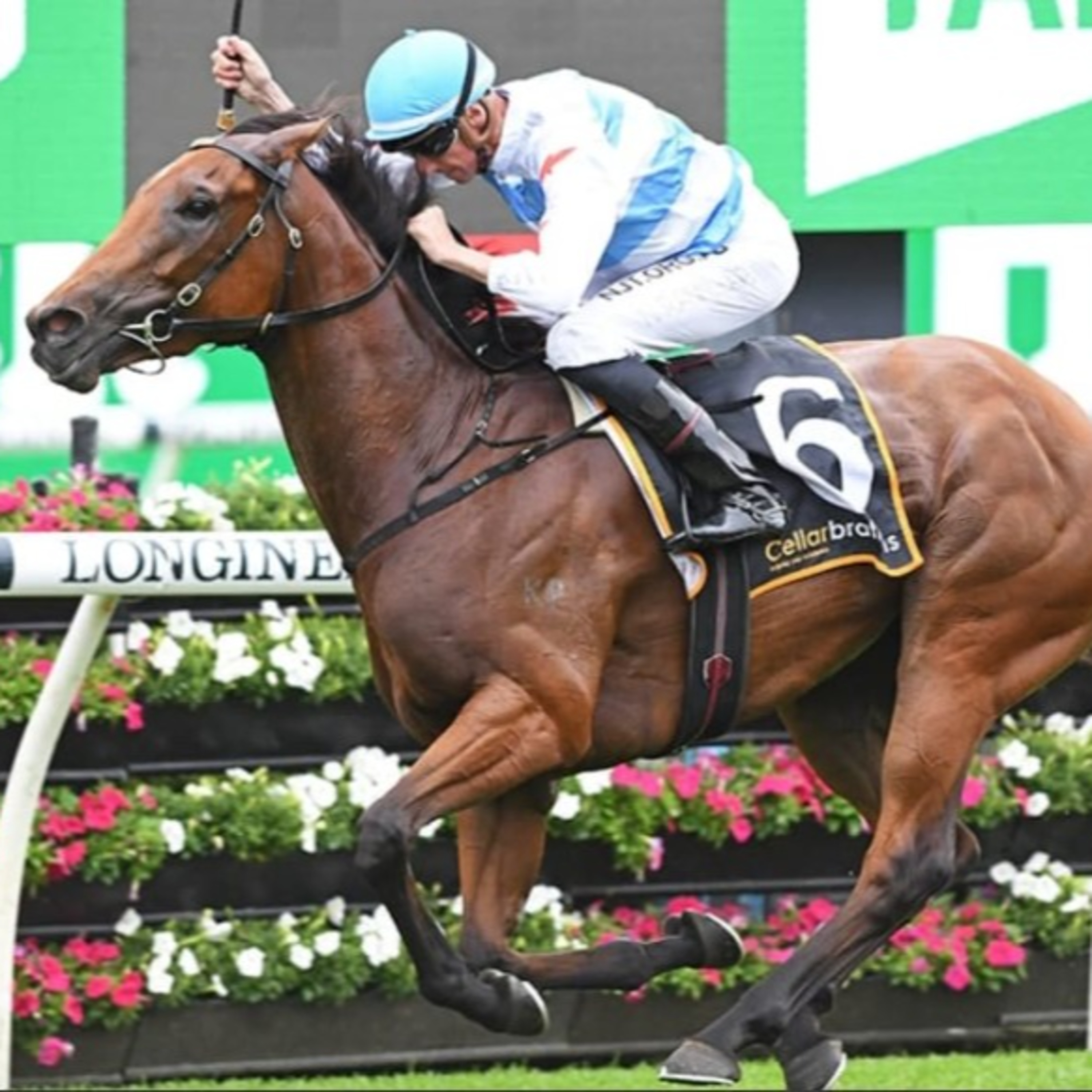 Ep 14- Doncaster Mile Preview episode artwork
