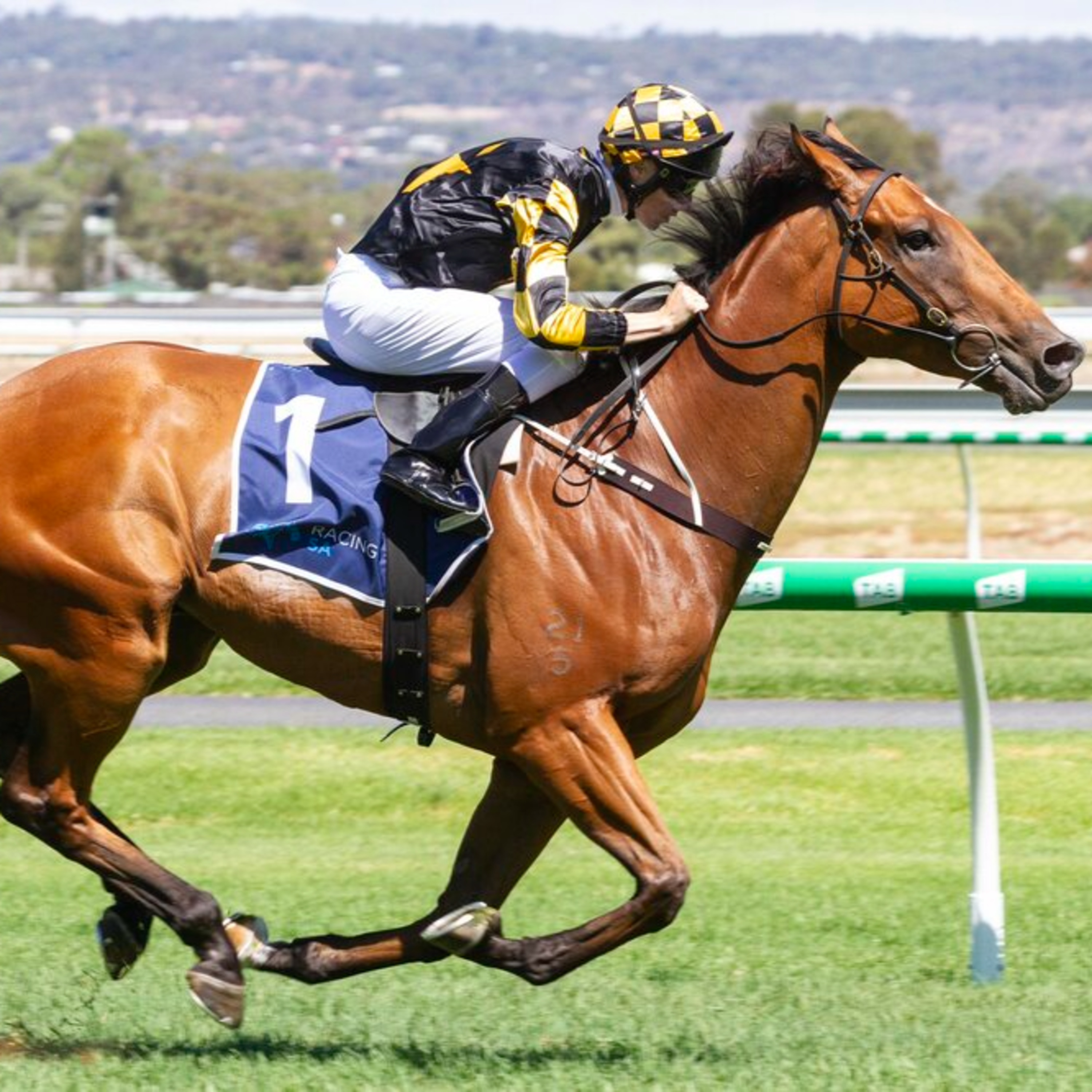Ep 23- The Goodwood and Doomben Cup preview episode artwork