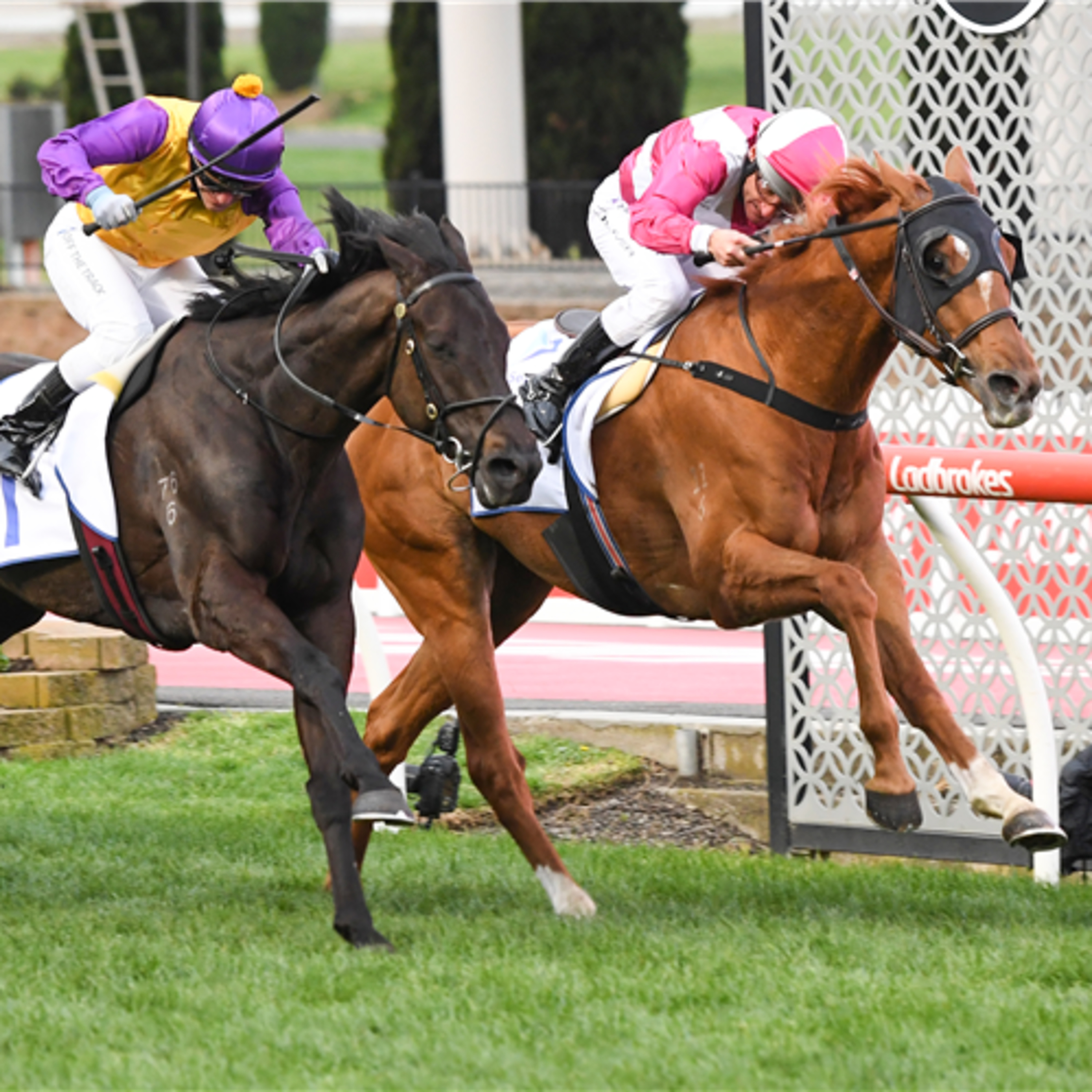 Ep- 30 Valley Cox plate qualifier and Randwick Tattersalls cup day episode artwork
