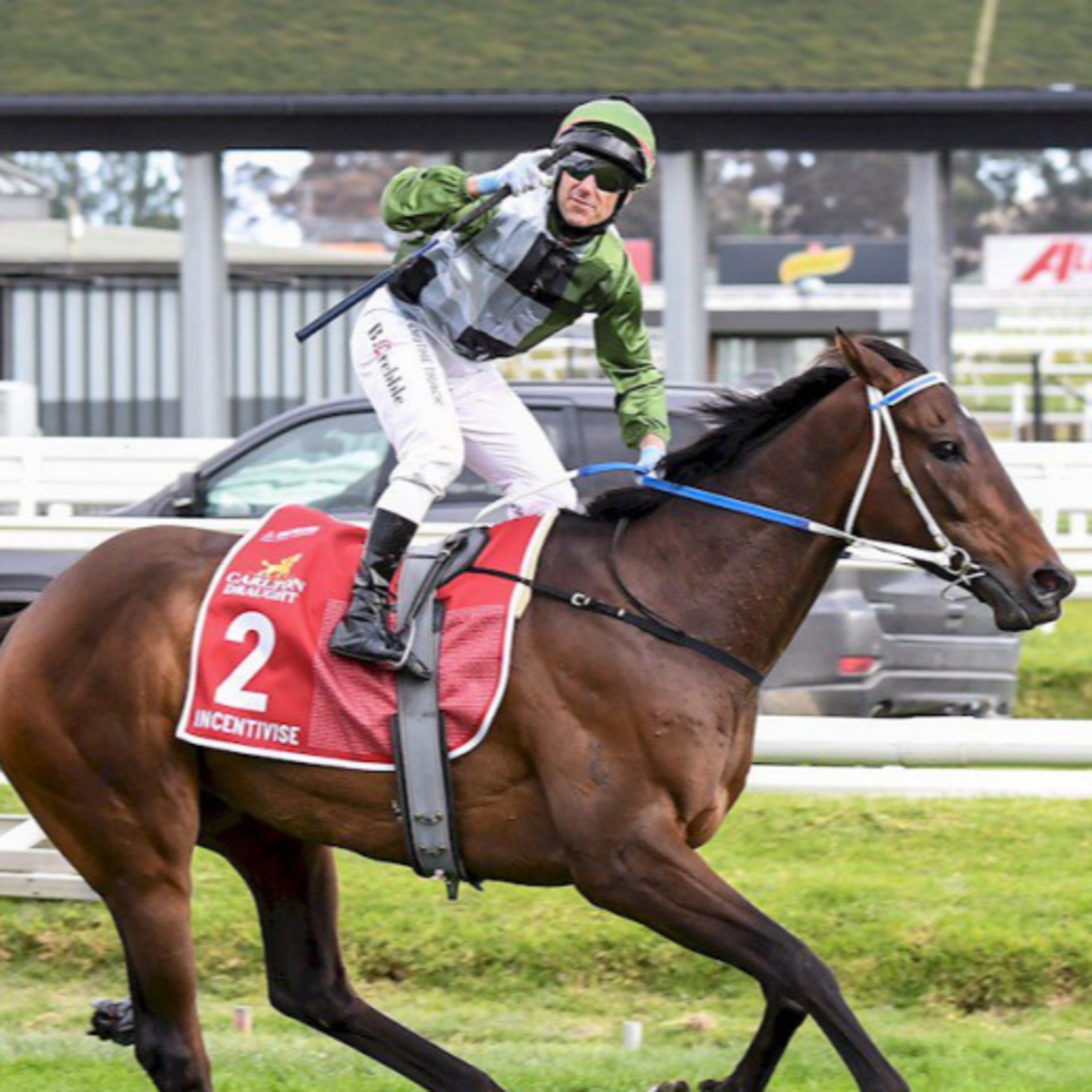 Ep 32- Makybe Diva and Run to the Rose Day episode artwork