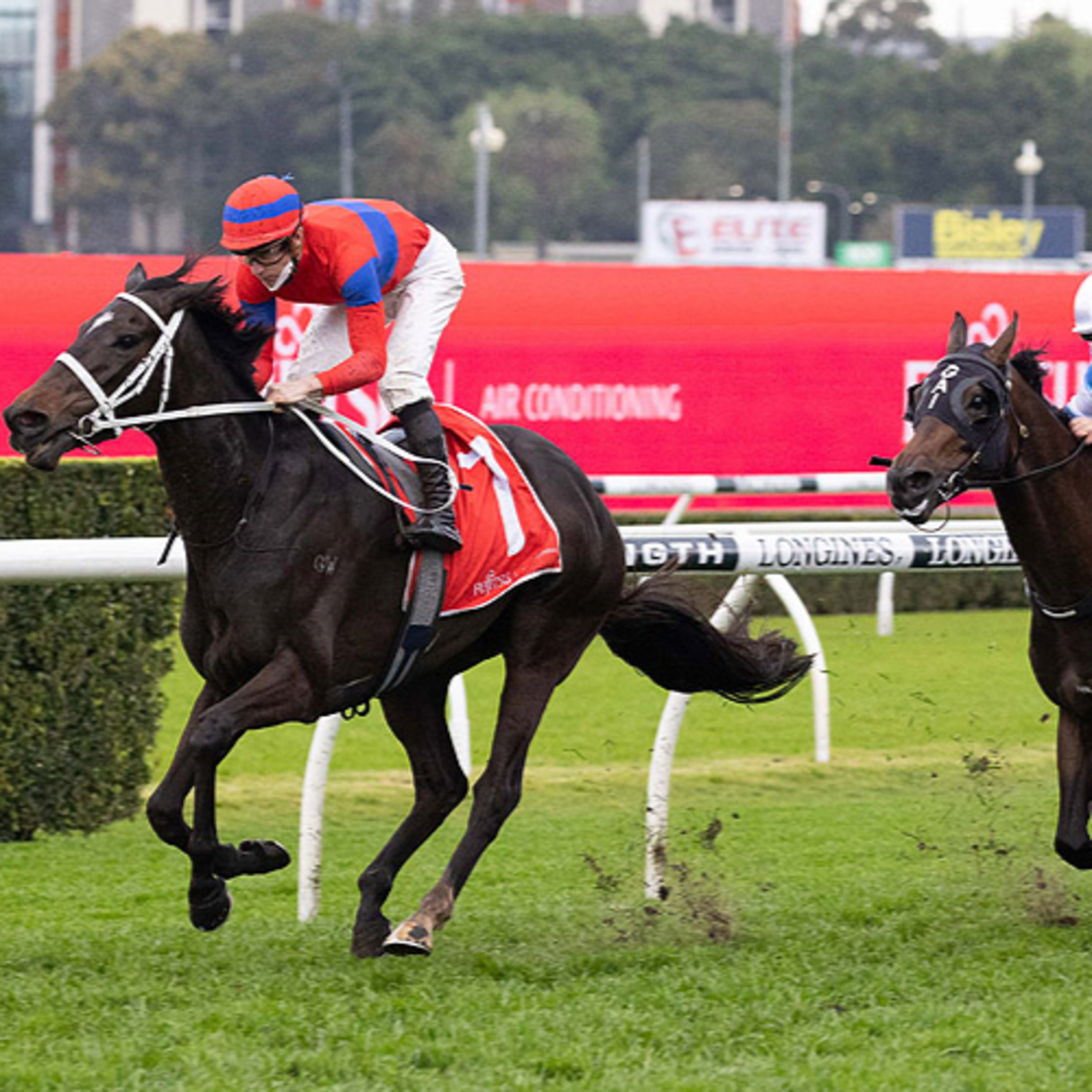 Ep- 34 George Main Stakes and Sir Rupert Clarke Stakes day episode artwork