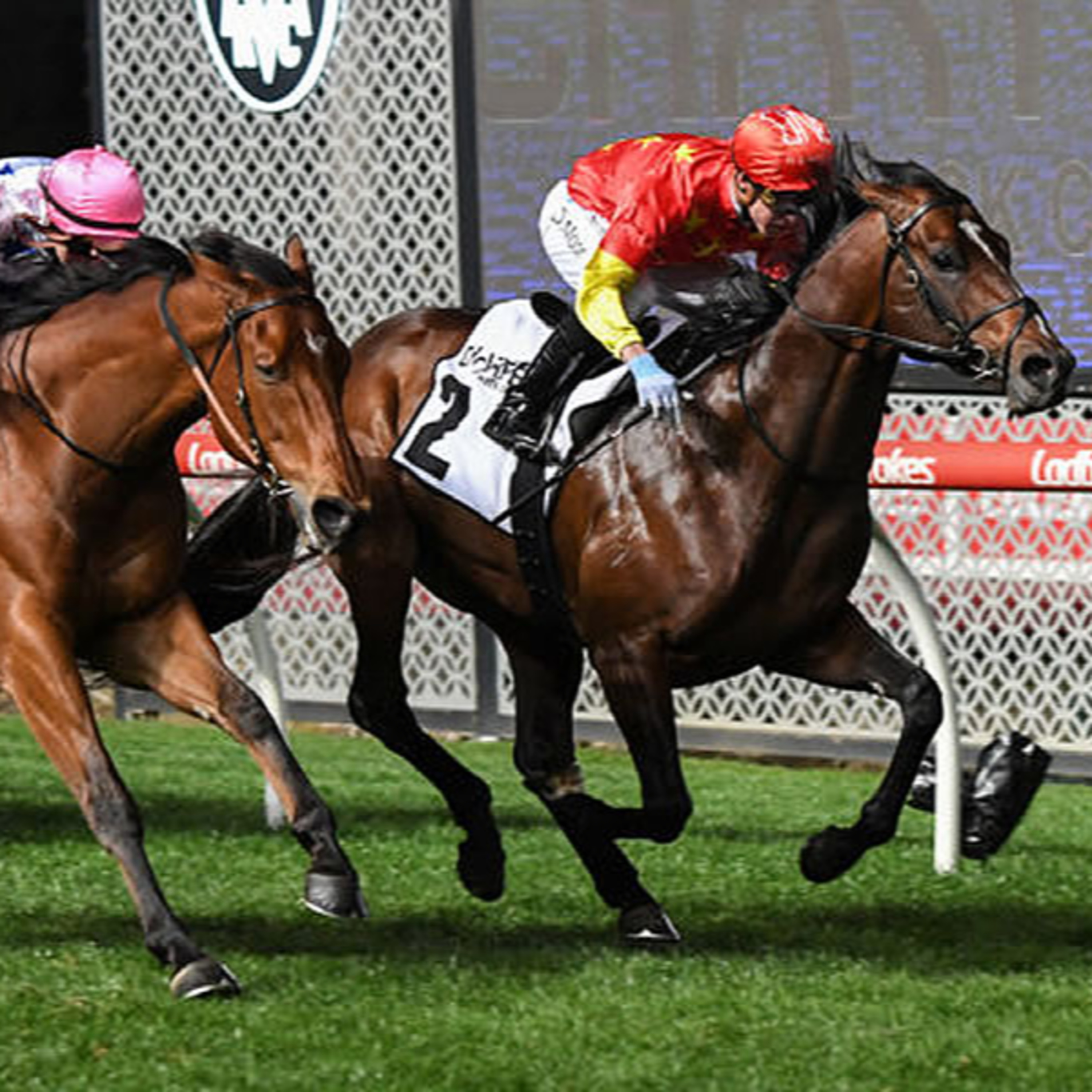 Ep 36- Moir, Golden Rose and Underwood stakes day preview episode artwork