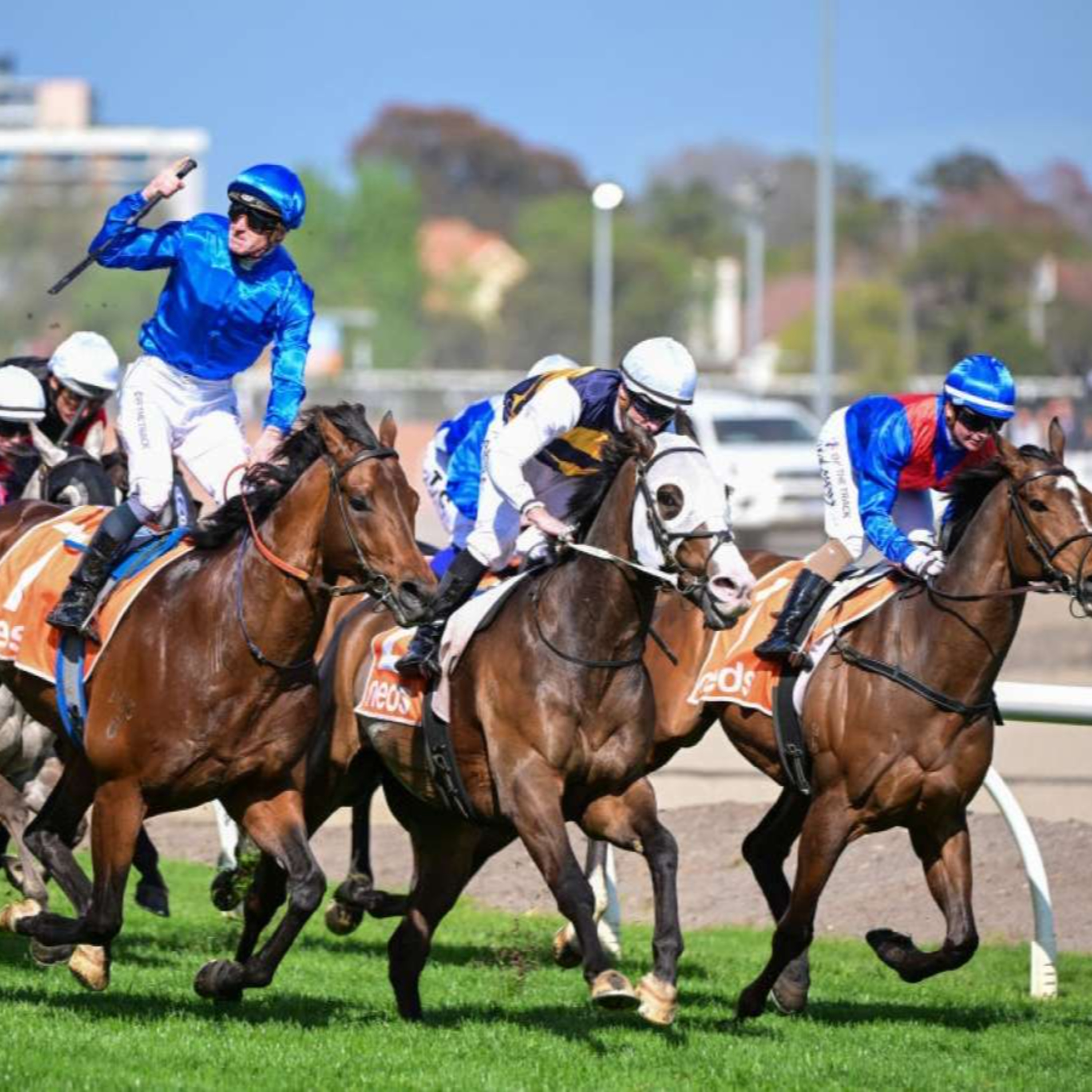 Ep 39- Caufield Guineas Day review episode artwork