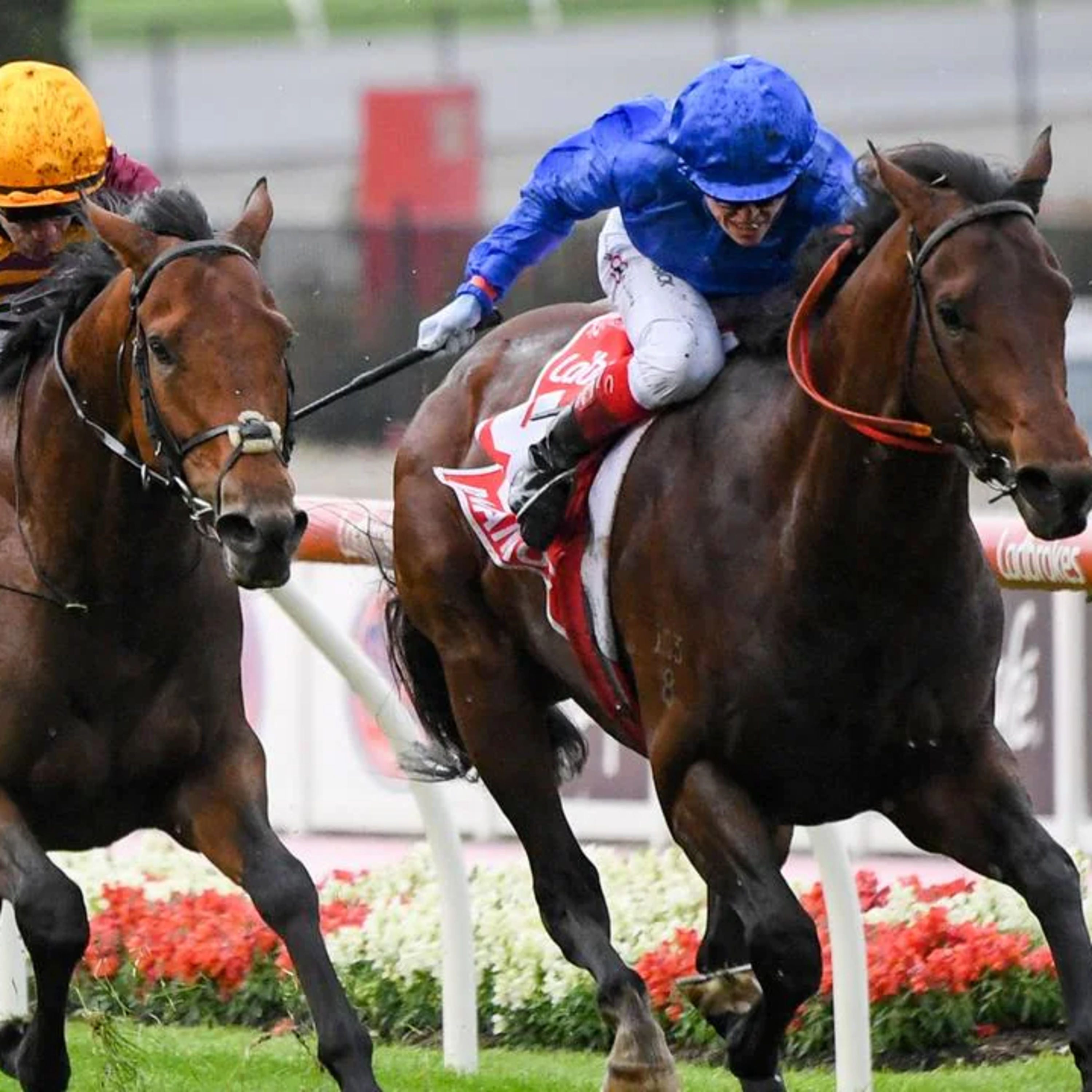 Ep 42- Cox Plate day preview episode artwork