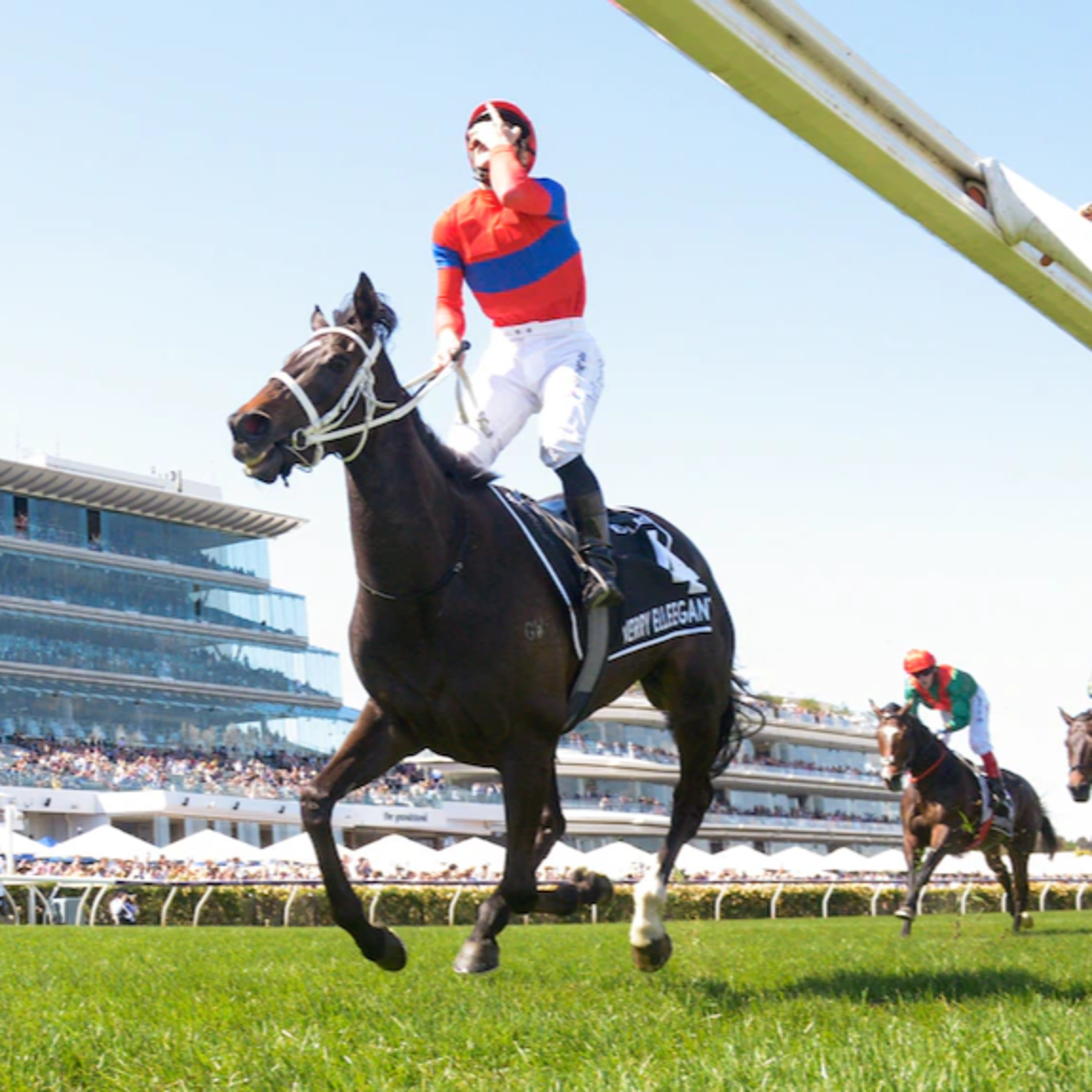Ep 44- Melbourne Cup runner by runner Preview episode artwork