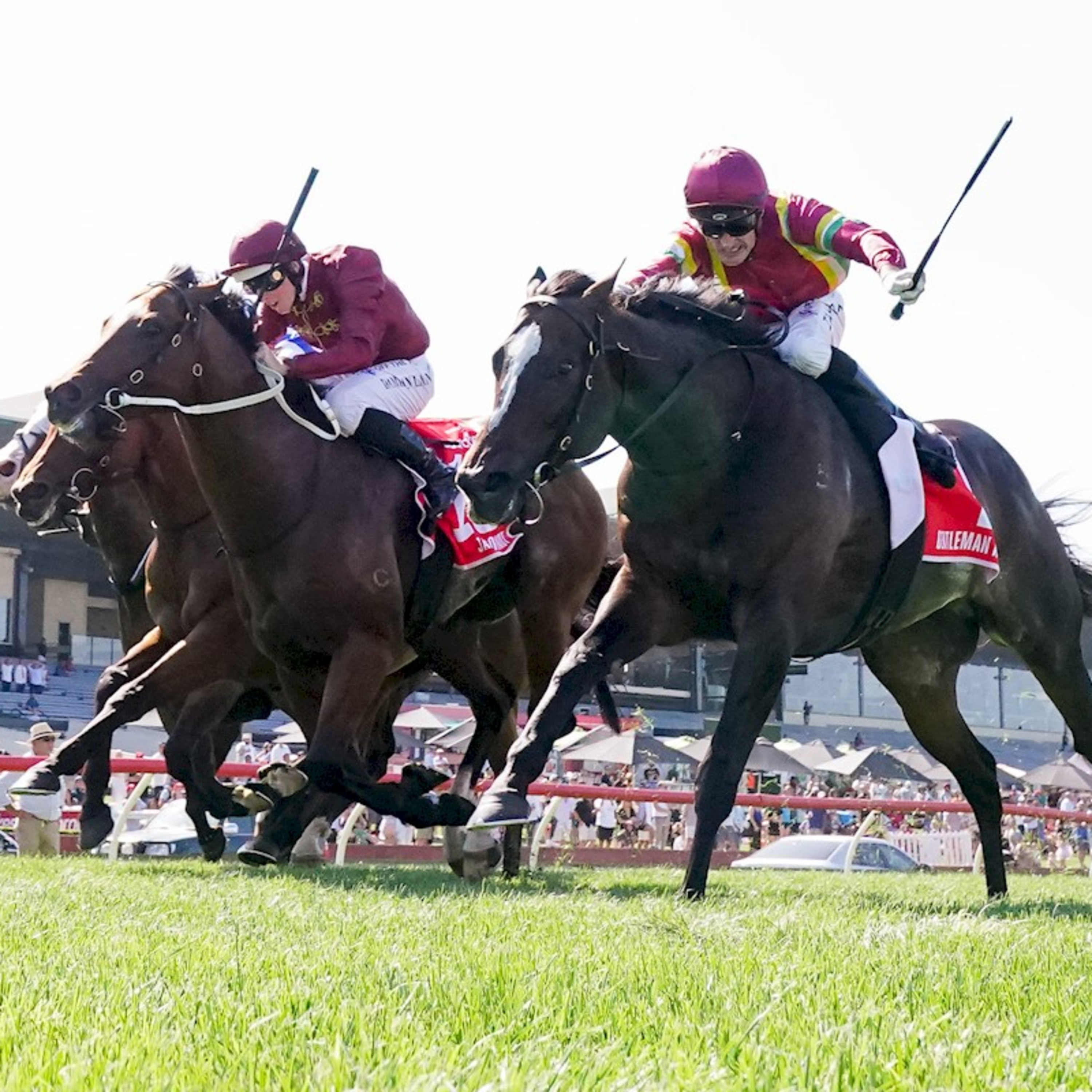 Ep 49- C.F. Orr stakes day and Apollo stakes Day review episode artwork