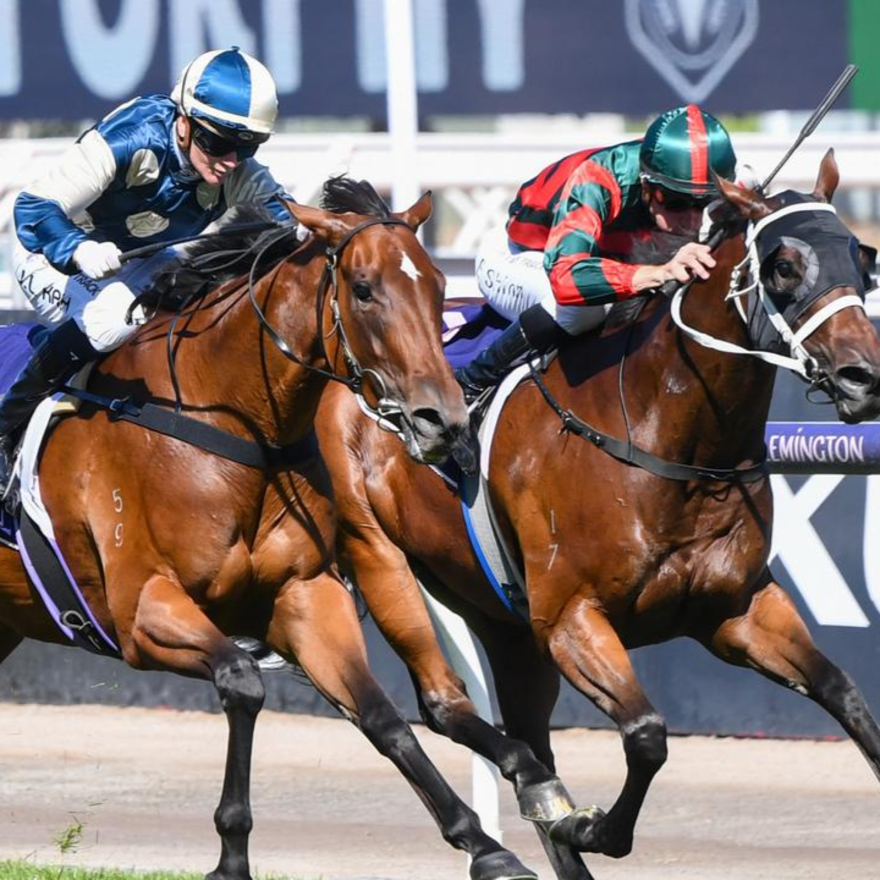 Ep 51- Black Caviar Lightning and Silver Slipper review episode artwork
