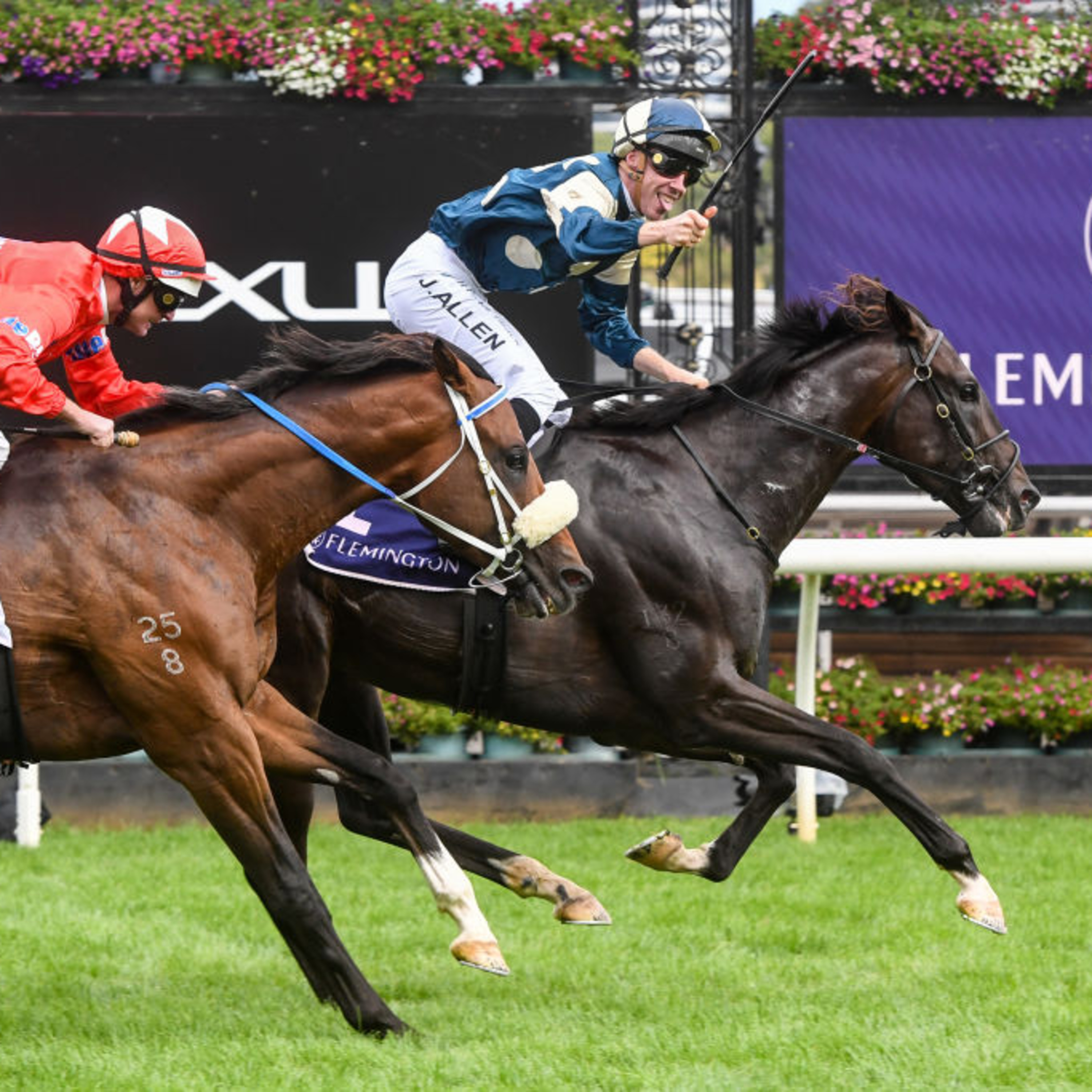 Ep 54- Australian and Randwick Guineas day preview episode artwork