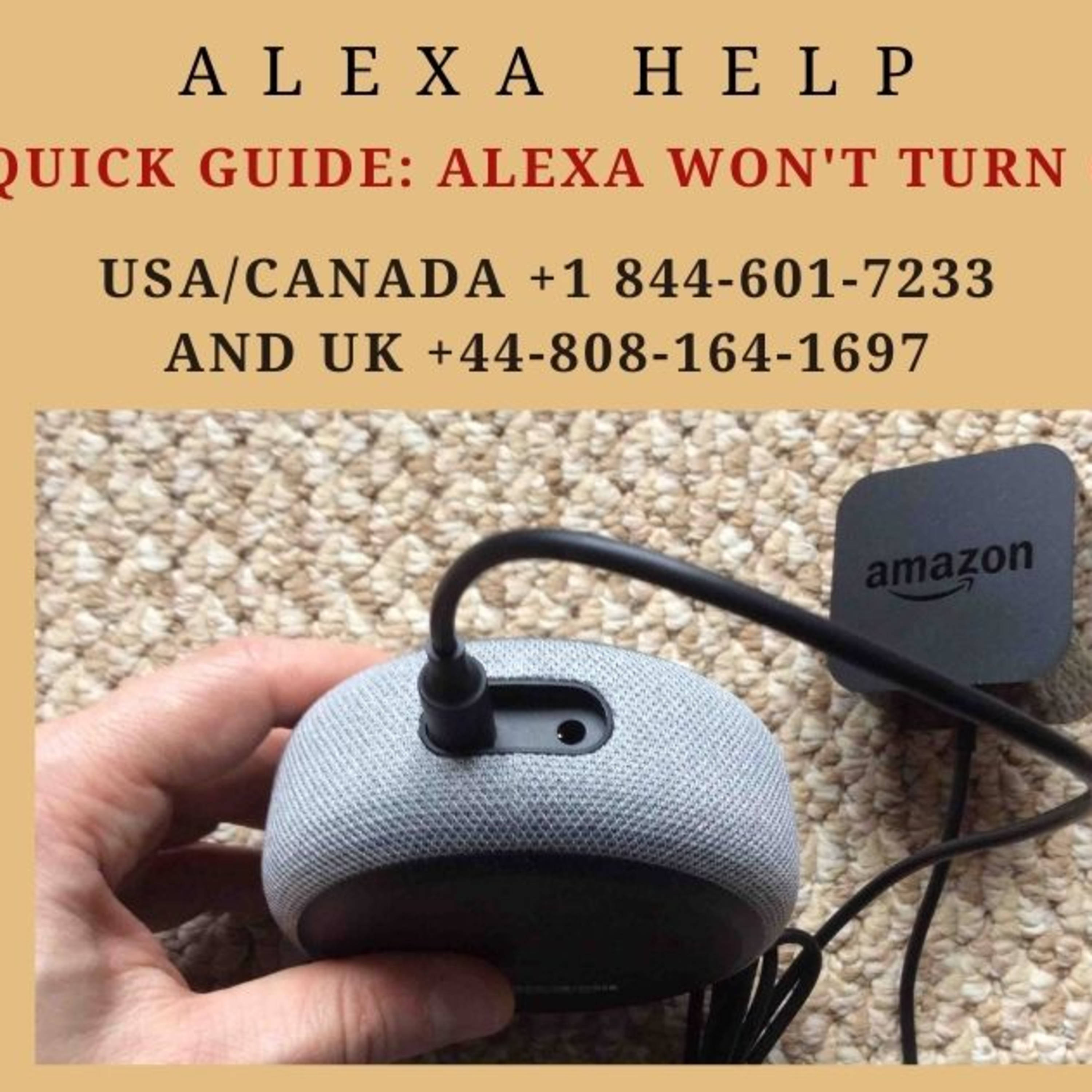Fix and get the solution on Alexa Won't Turn On episode artwork