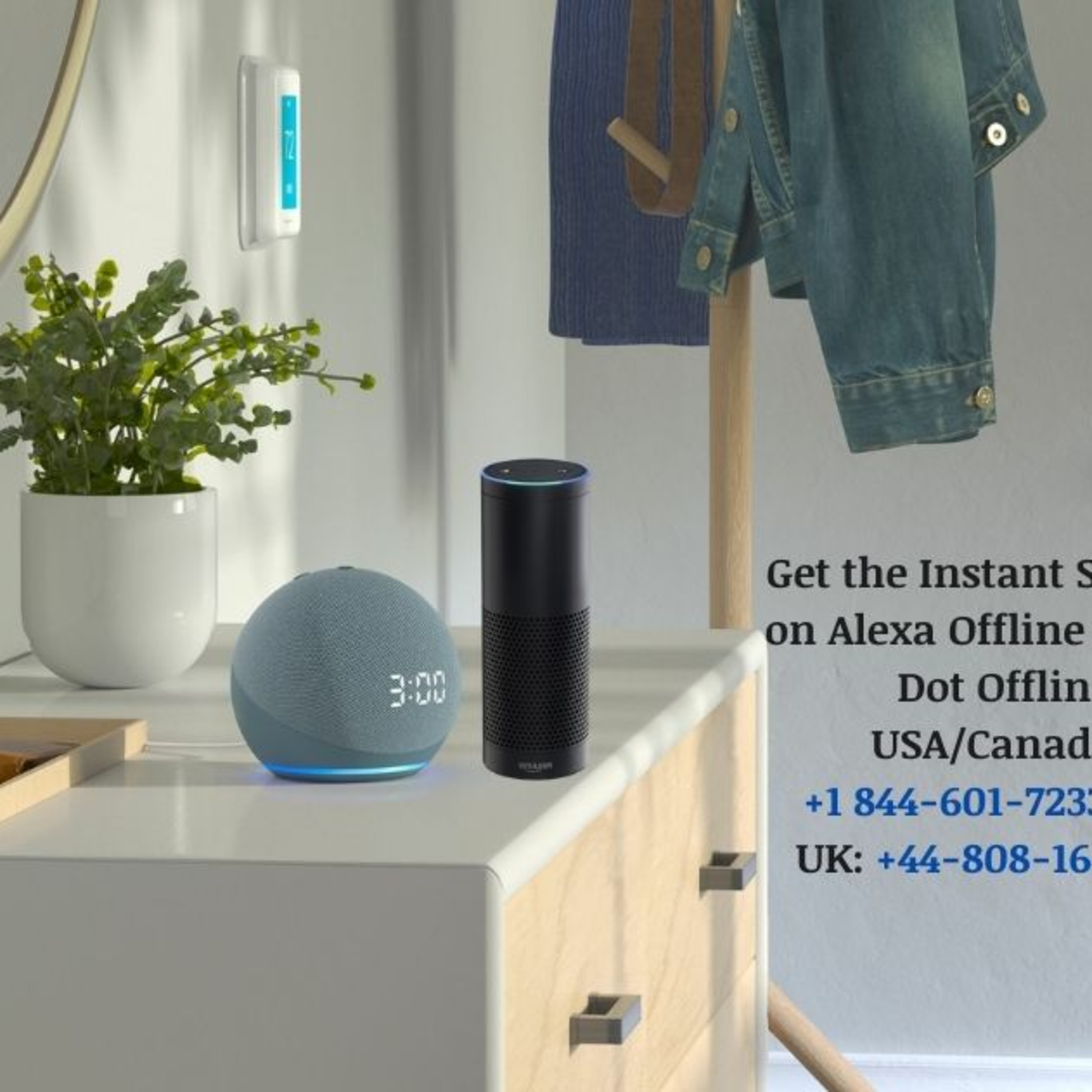 Alexa Customer Service Number