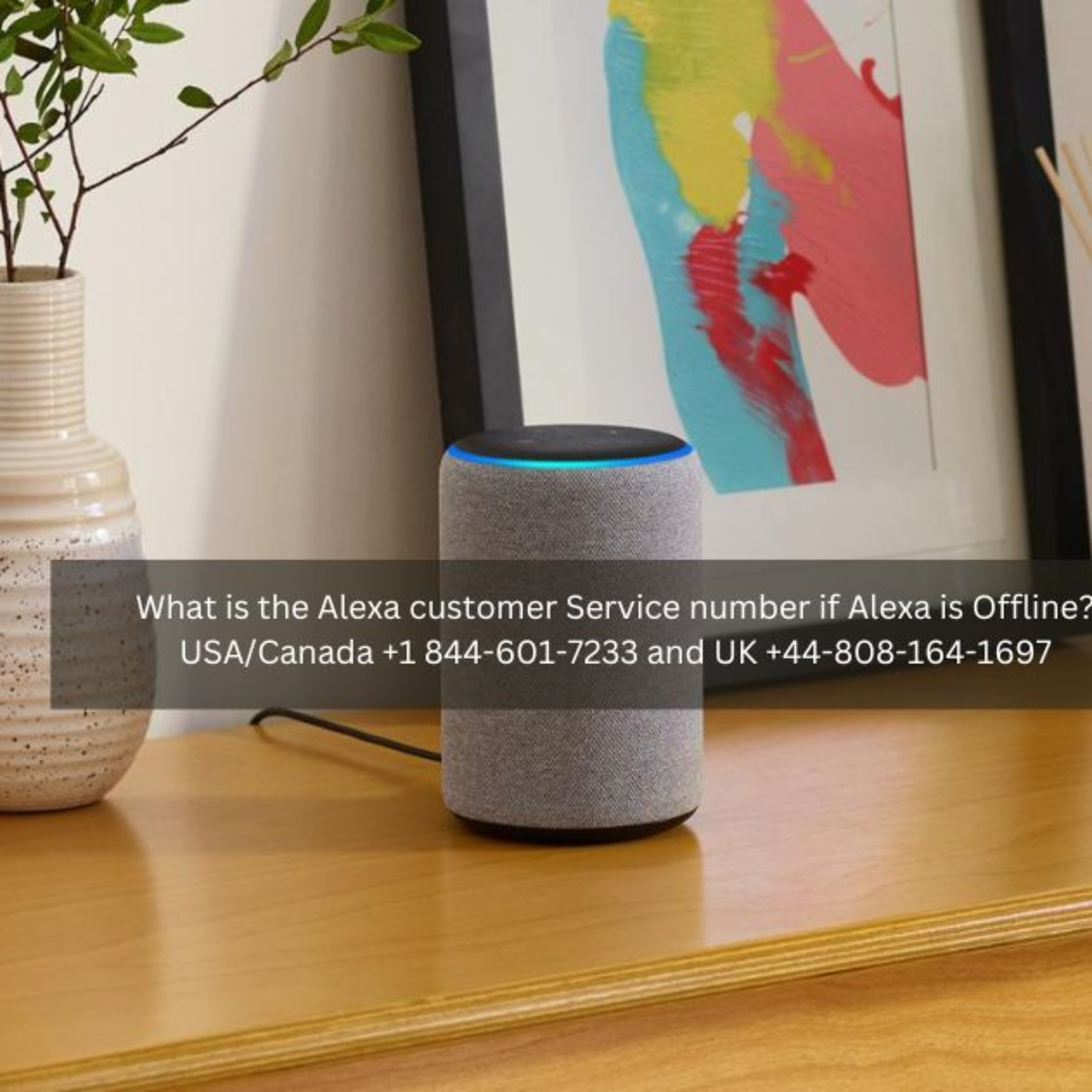 Alexa Customer Service Number