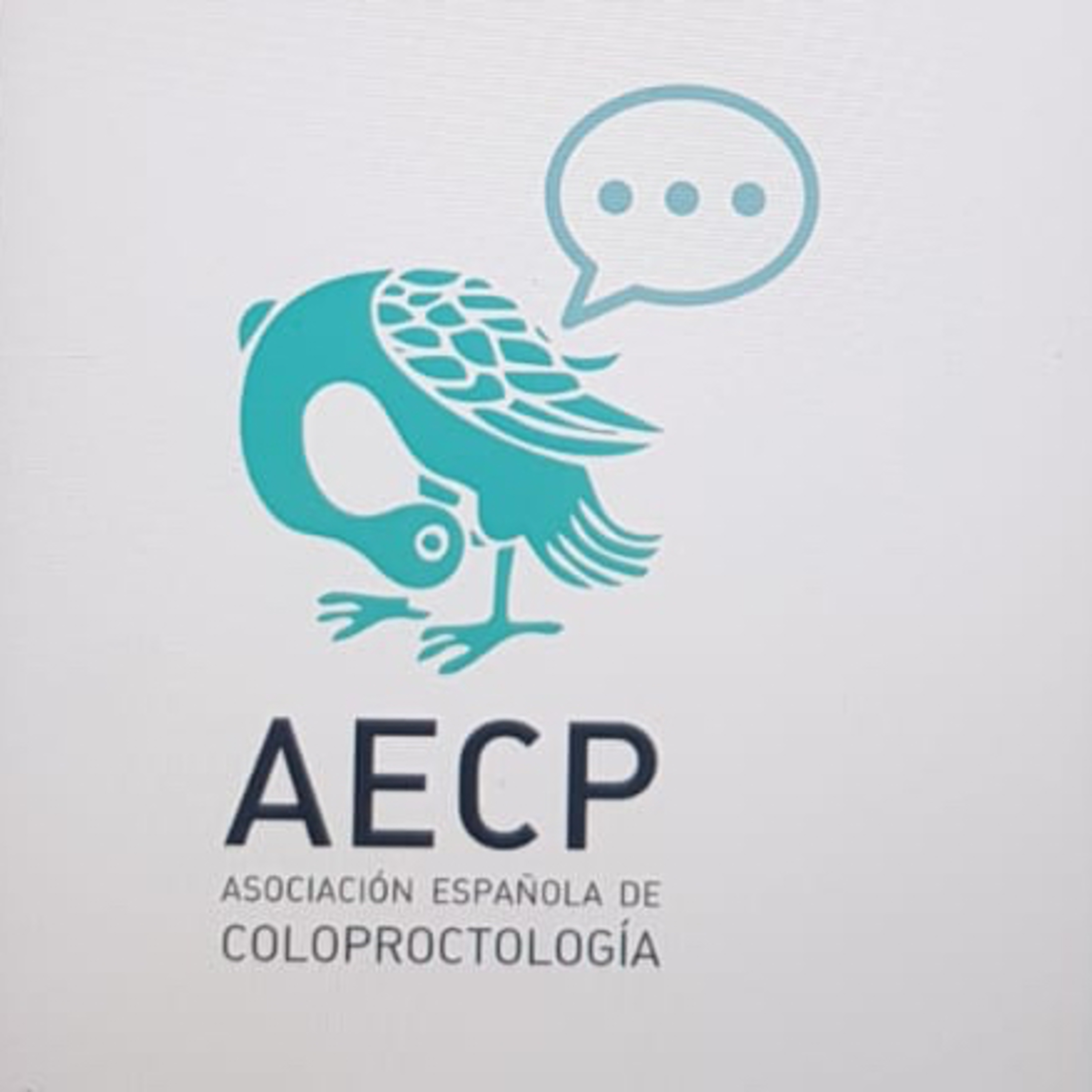 Esta es mi opinión sobre Resección transanal en cáncer de recto T2.