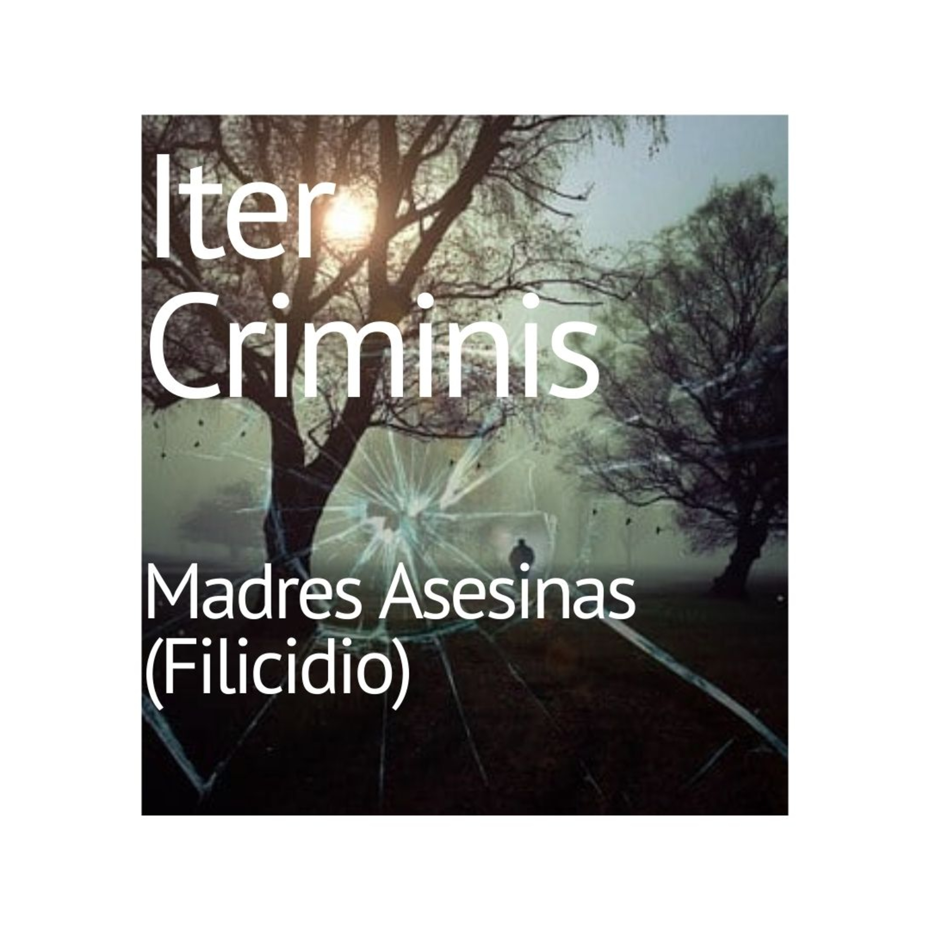 Iter Criminis. Camino del Delito