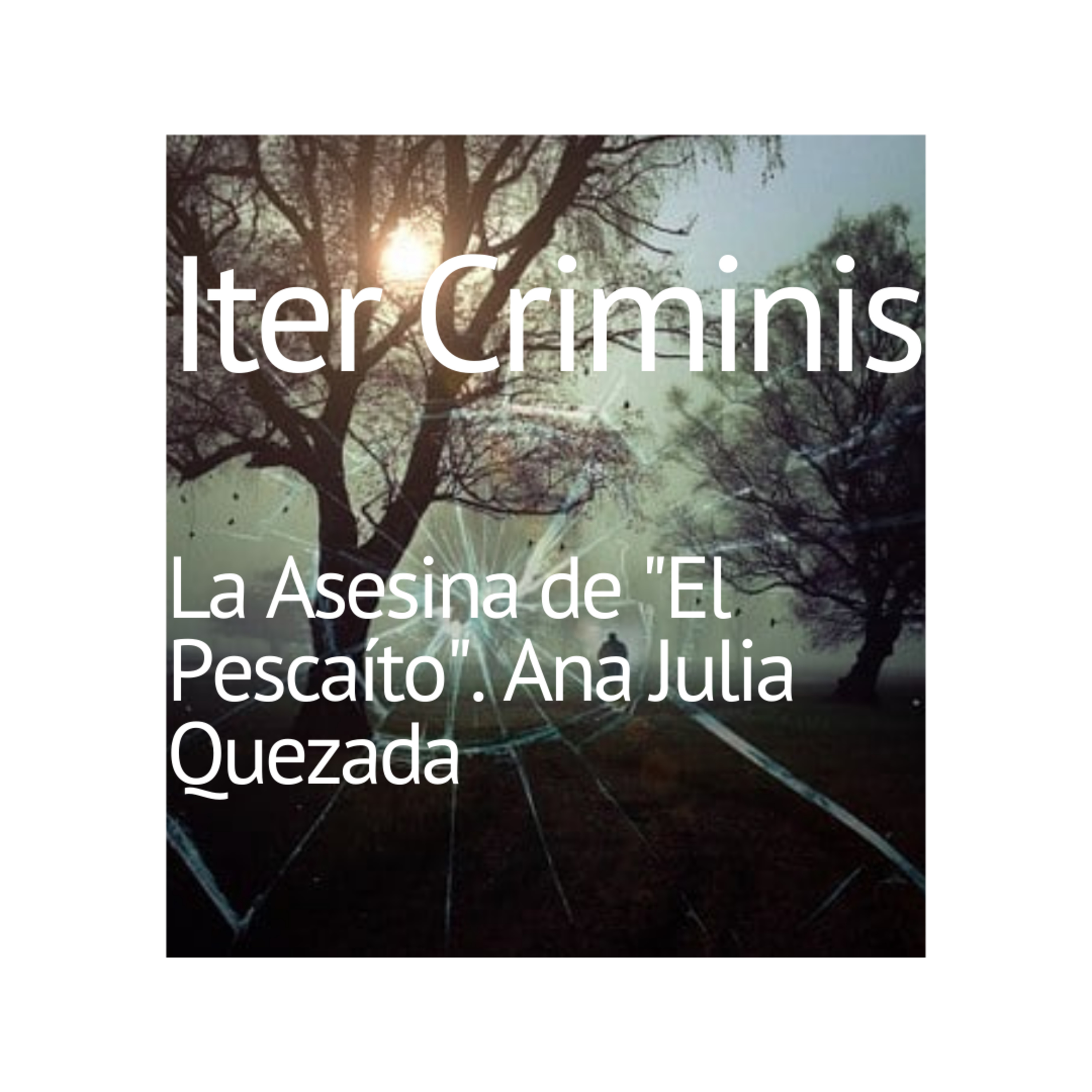 Iter Criminis. Camino del Delito
