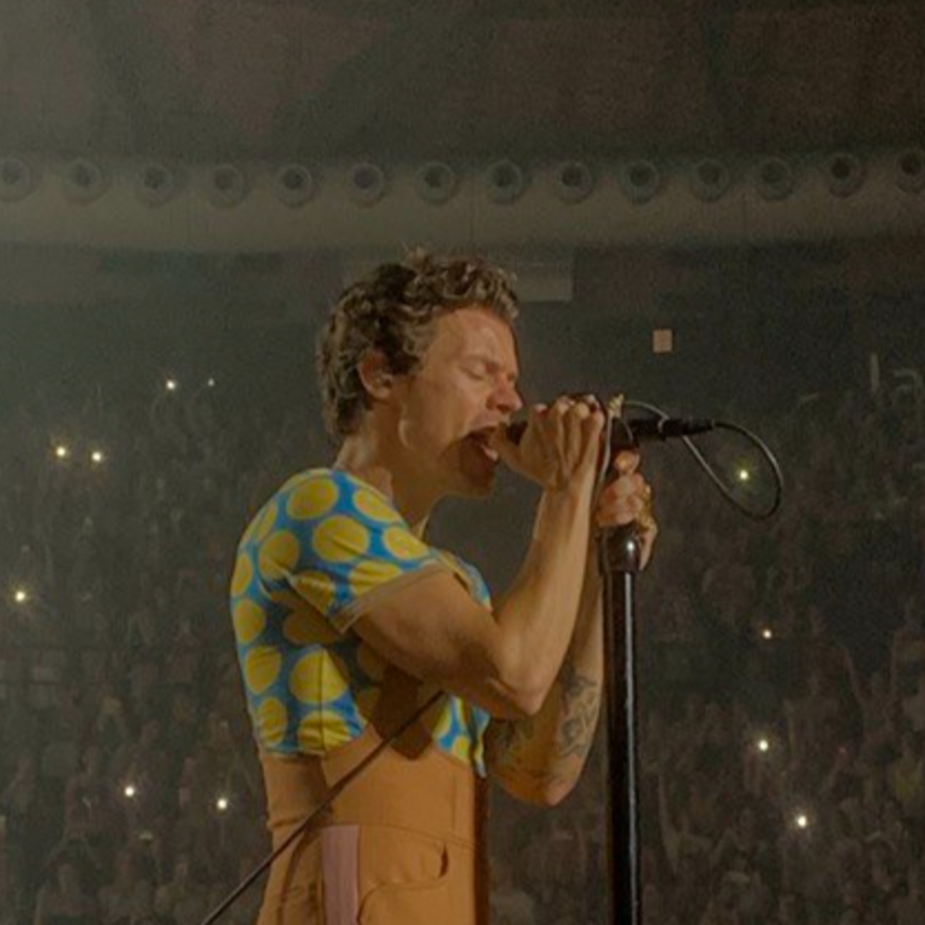 #4: Chi è per te Harry Styles?