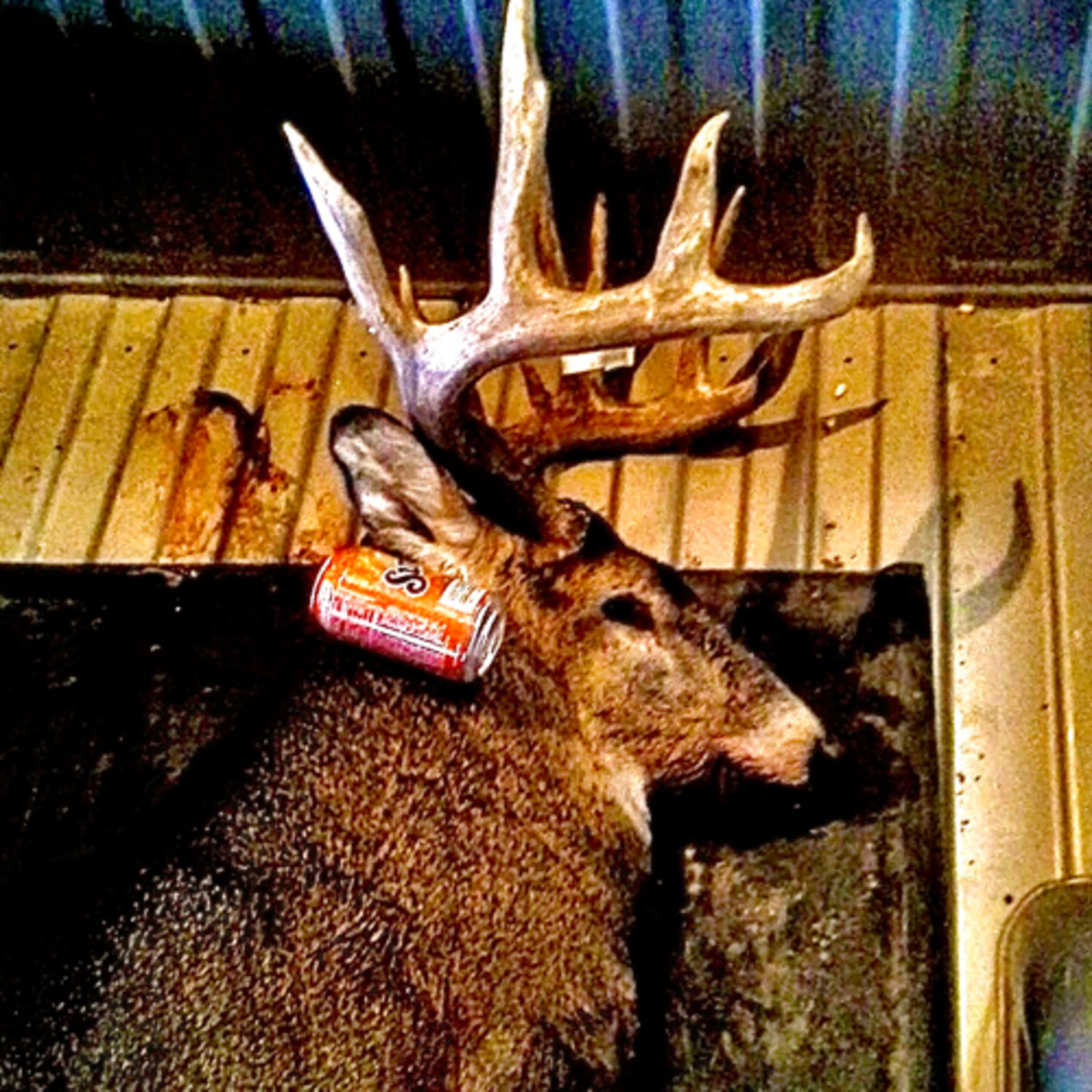 Iowa Adrenaline Podcast: Episode 8. Bow Season Recap and Late Season Tactics. 