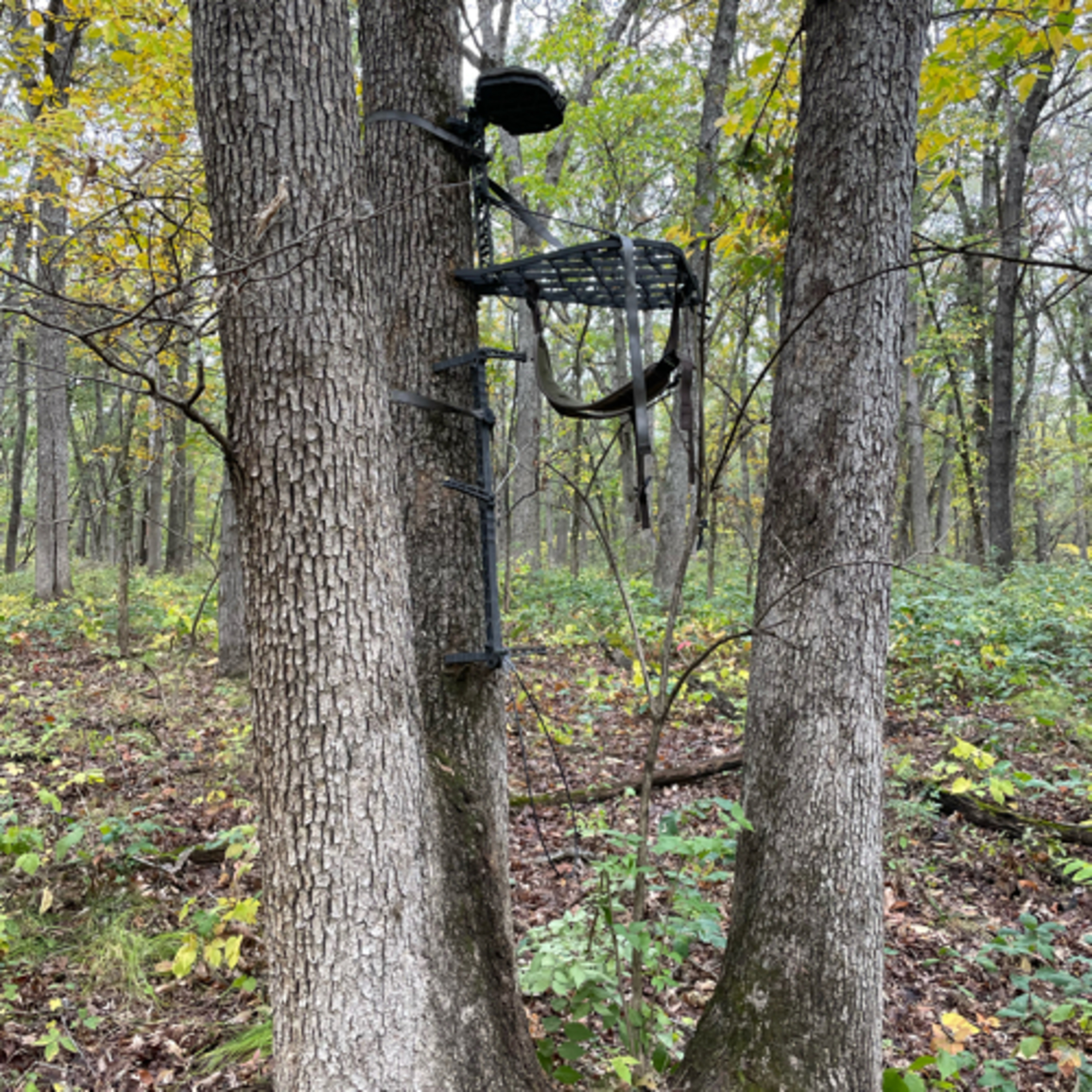Iowa Adrenaline Podcast: Episode 12. October Game Planning and the Mobile Hunter Roadshow. 