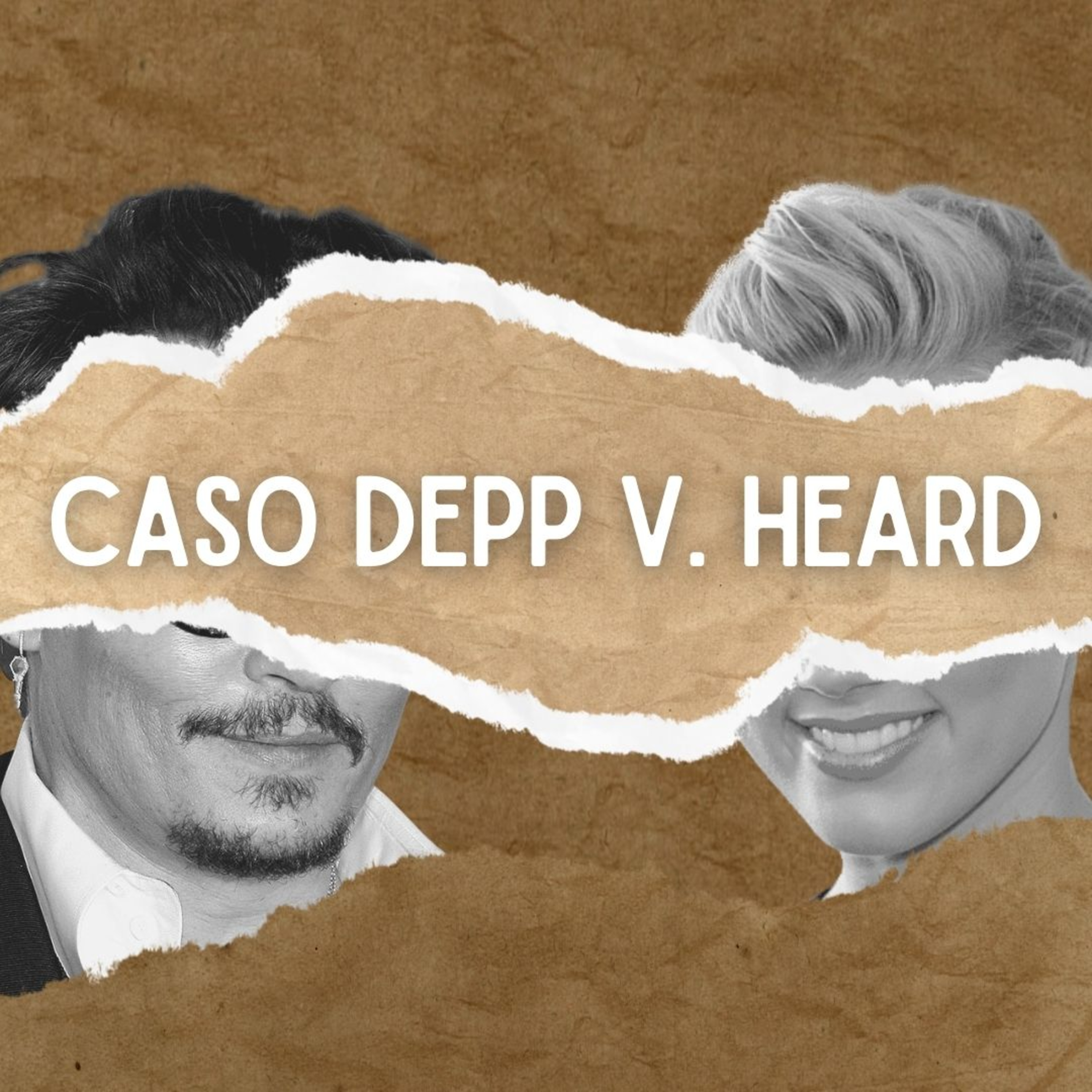 EL CASO DE JOHNNY DEPP Y AMBER HEARD