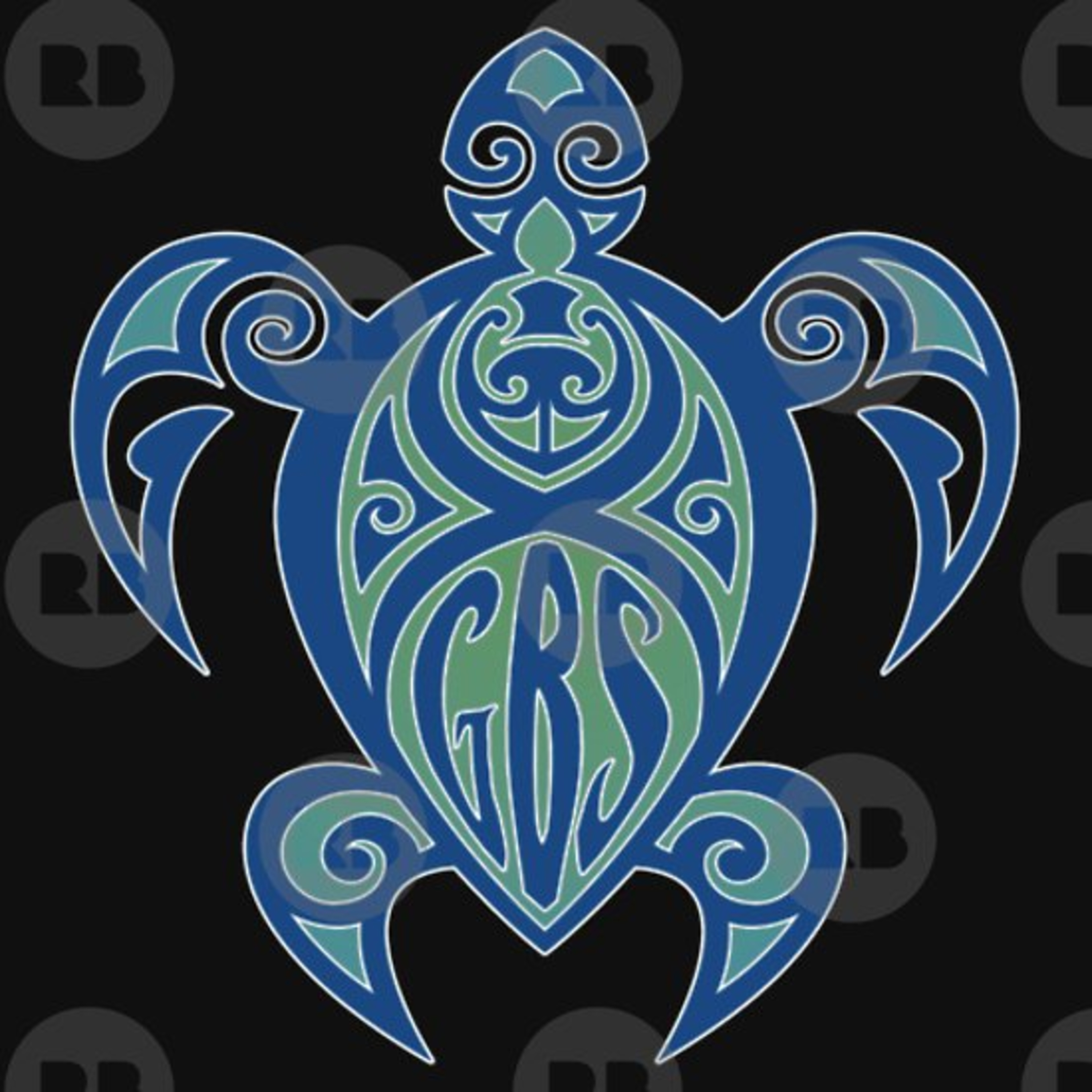 Rob's GBS/CIDP Podcast