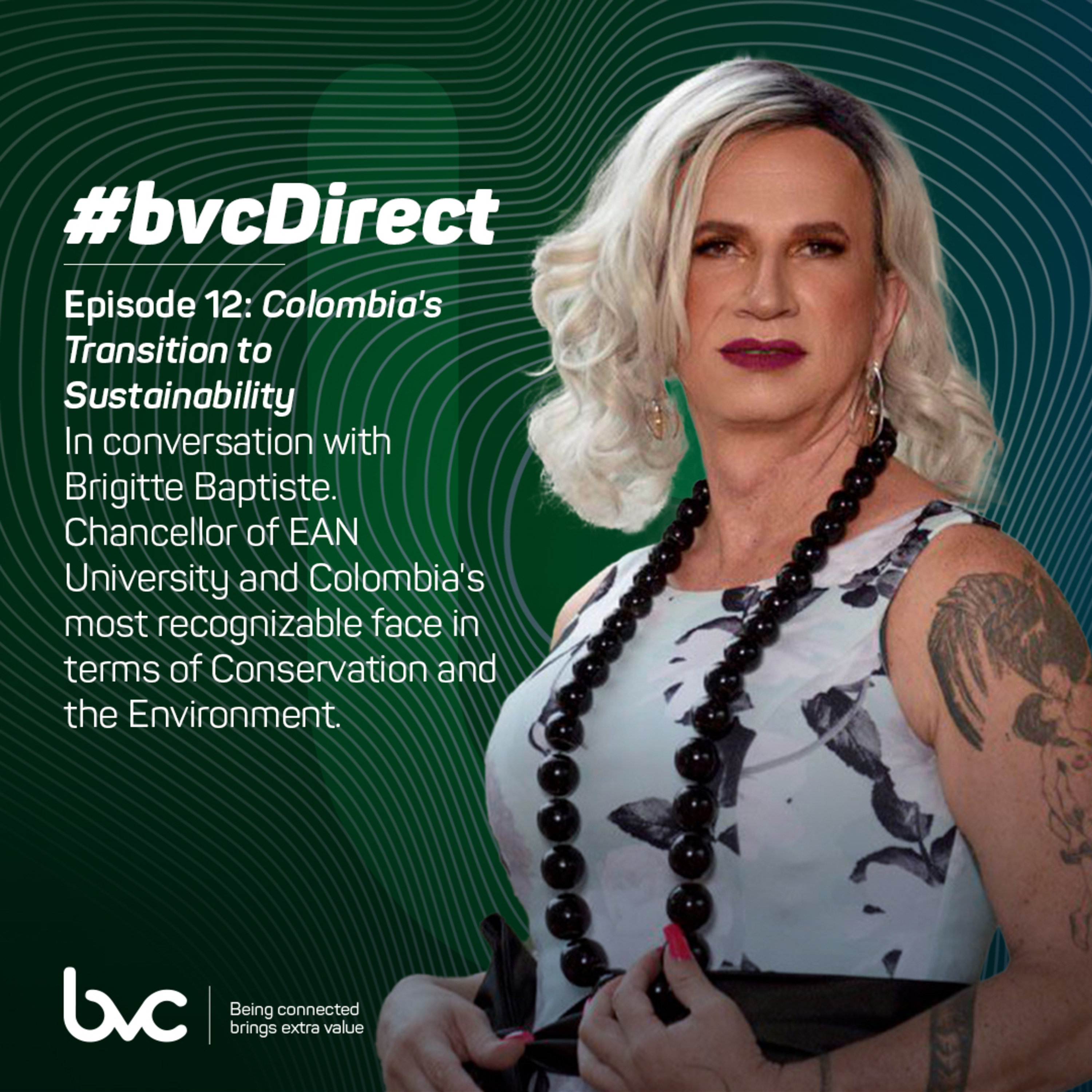 bvc Direct