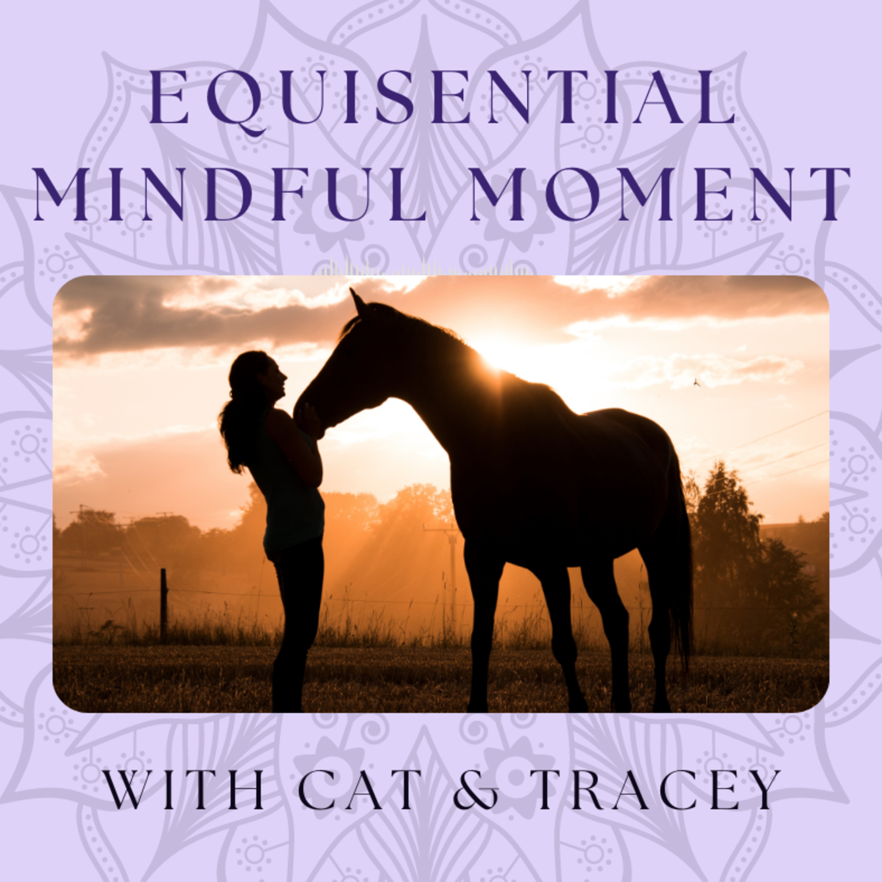 Equisential Mindful Moment 2 episode artwork