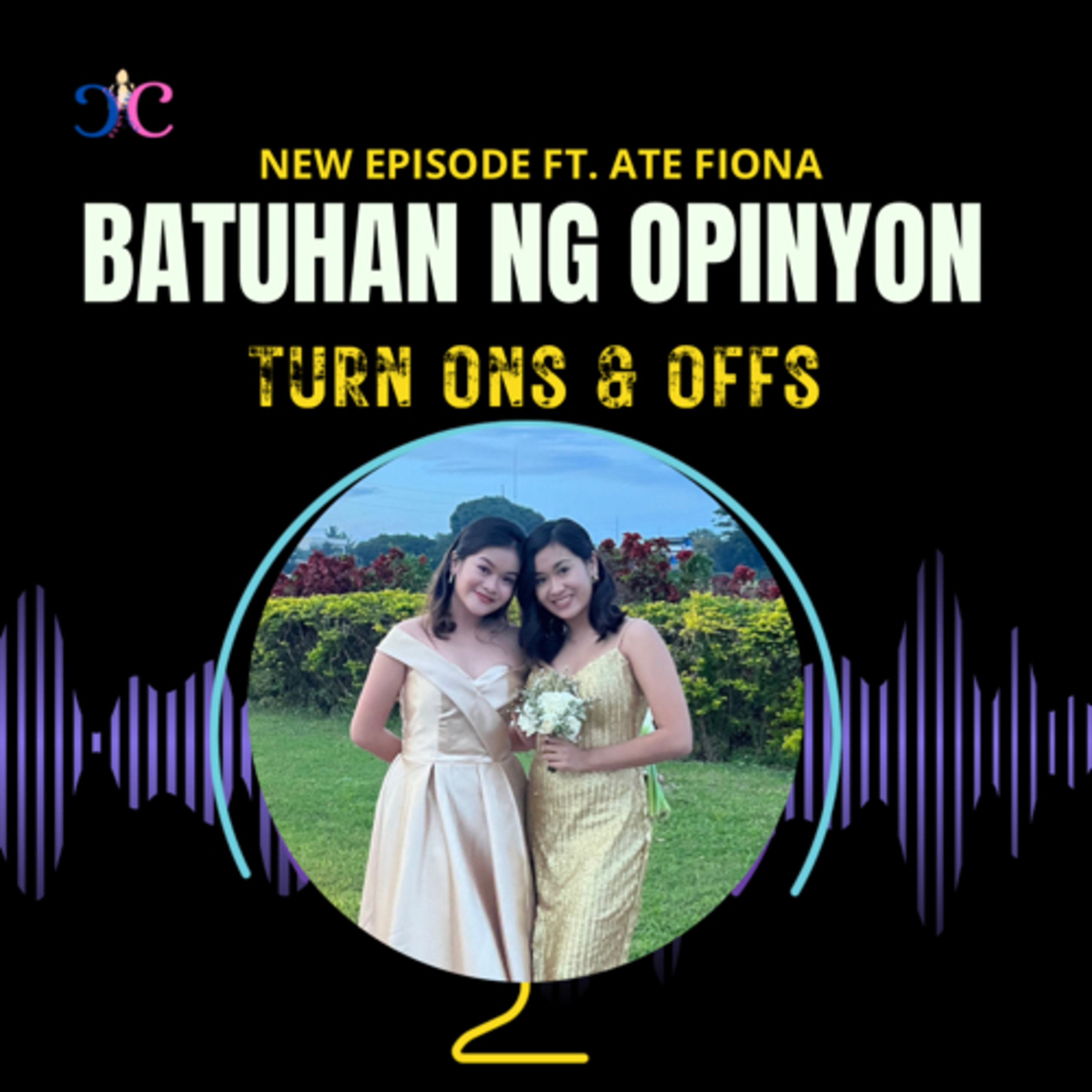 Turn Ons & Offs episode artwork