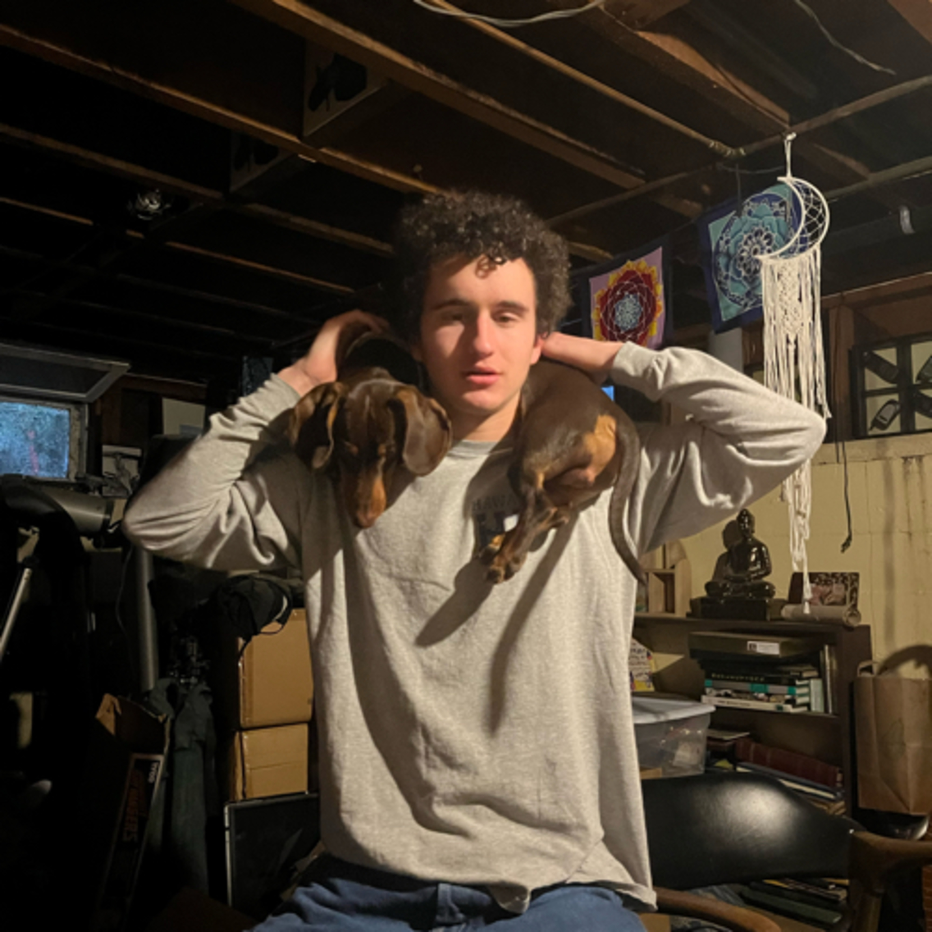 Transitioning to Vegan ft. Cole episode artwork
