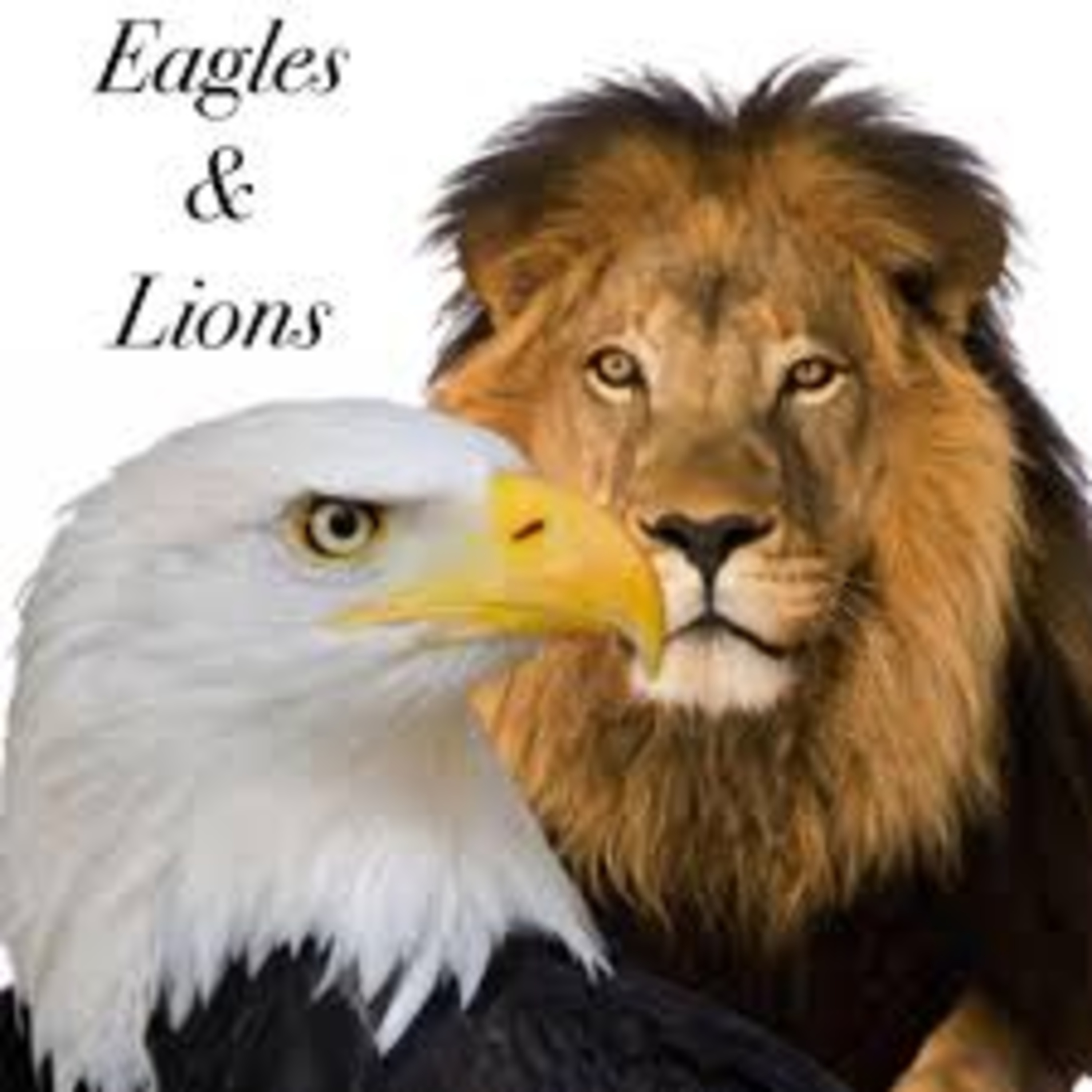 The Lion and the Eagle episode artwork