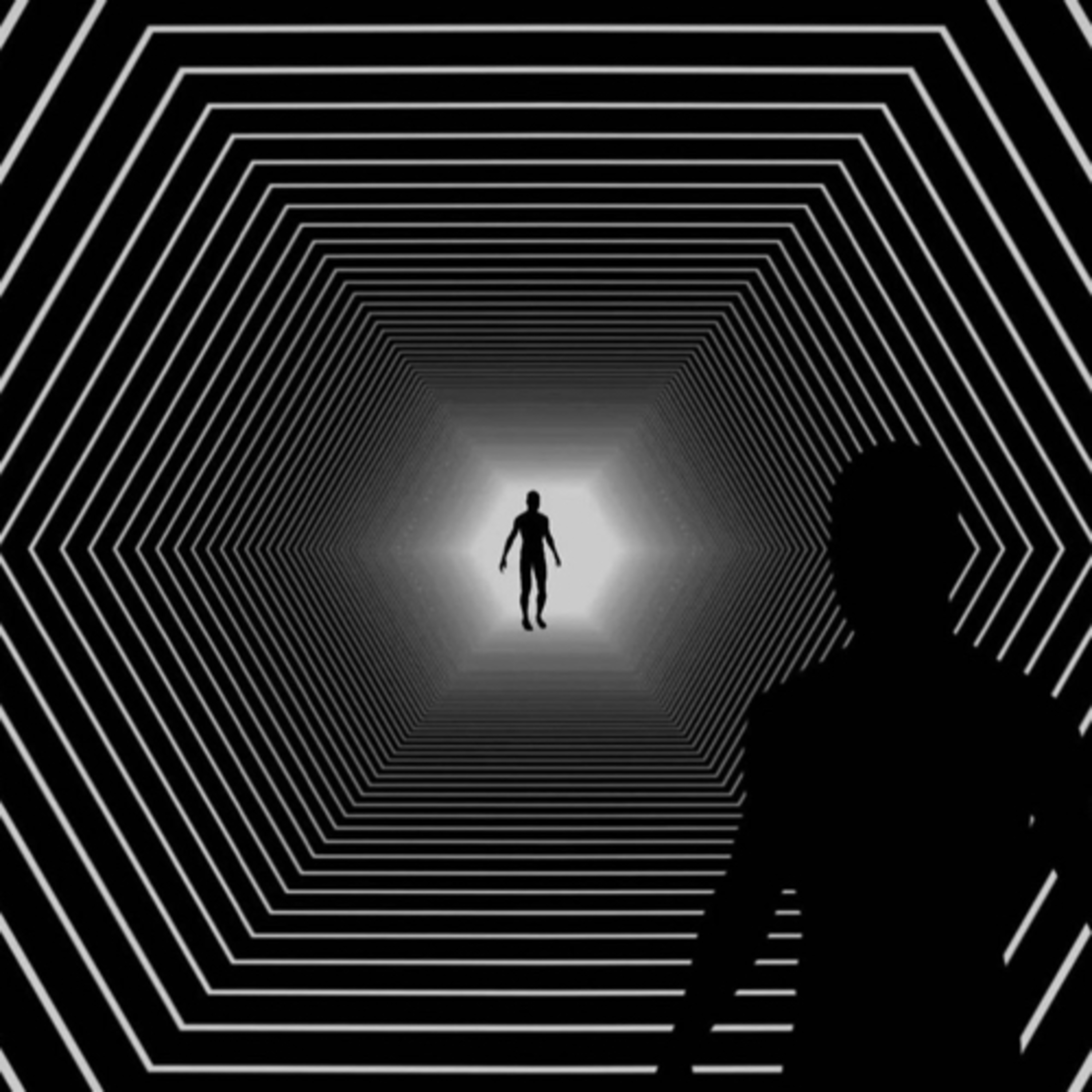 5urgeryperspective