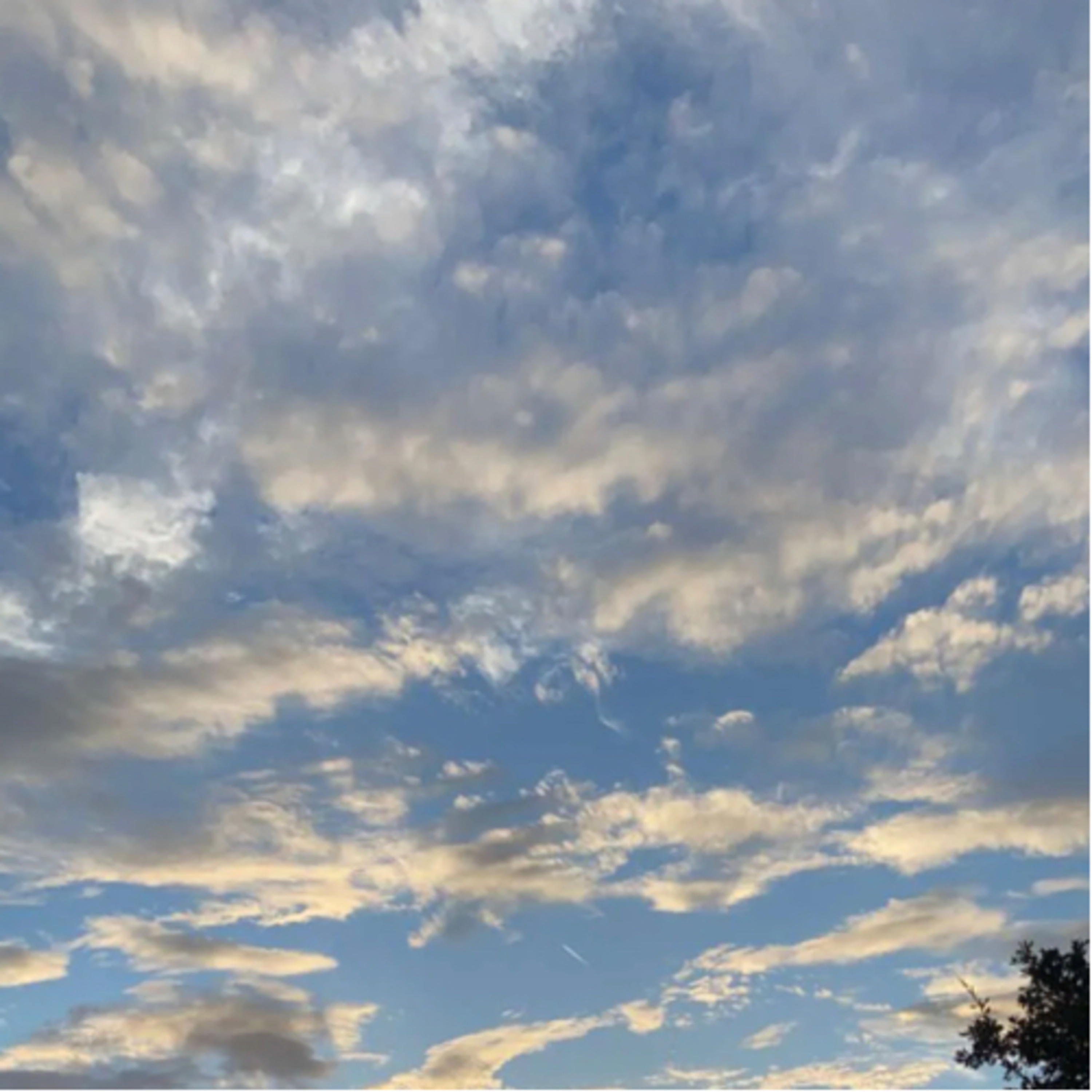 5urgeryperspective