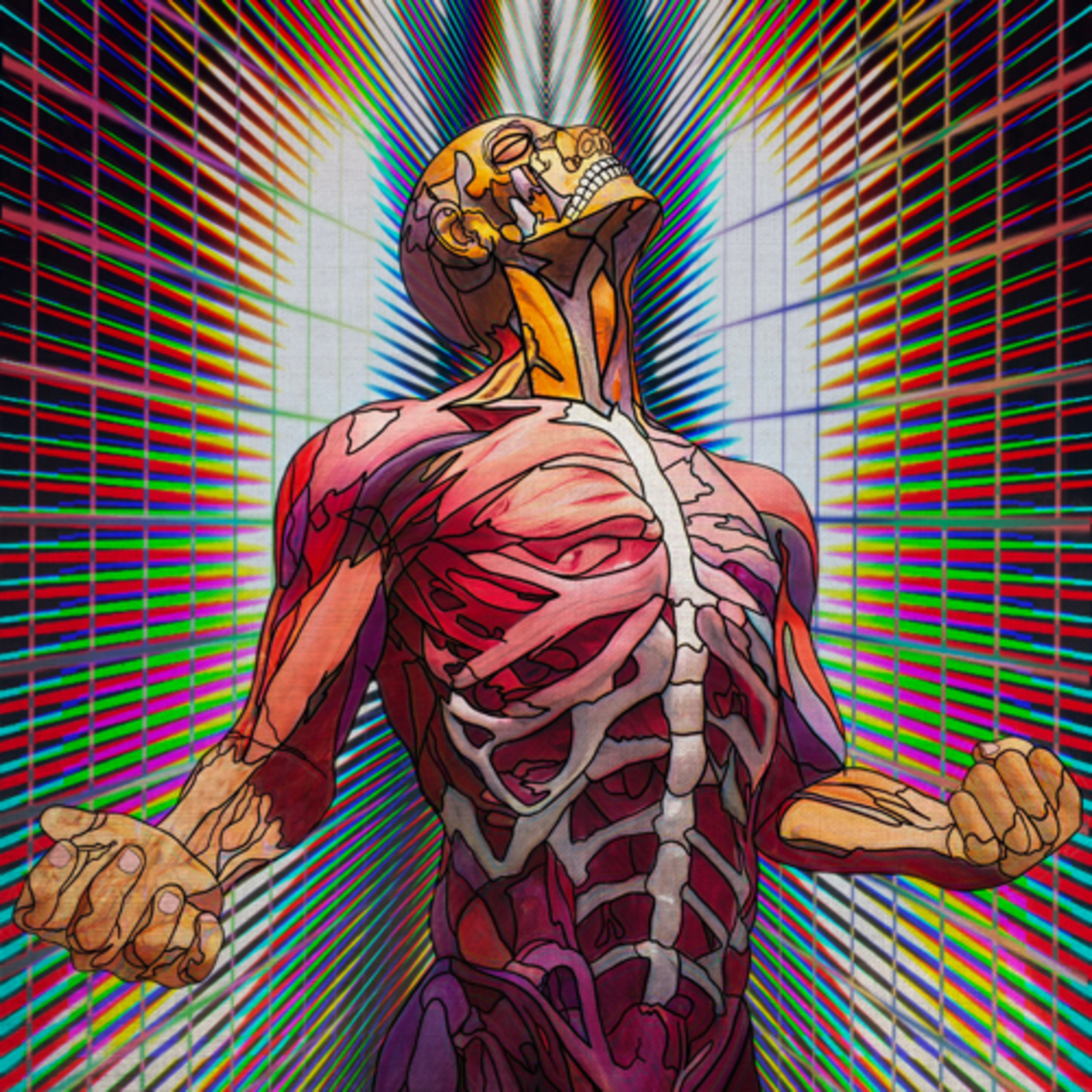 5urgeryperspective