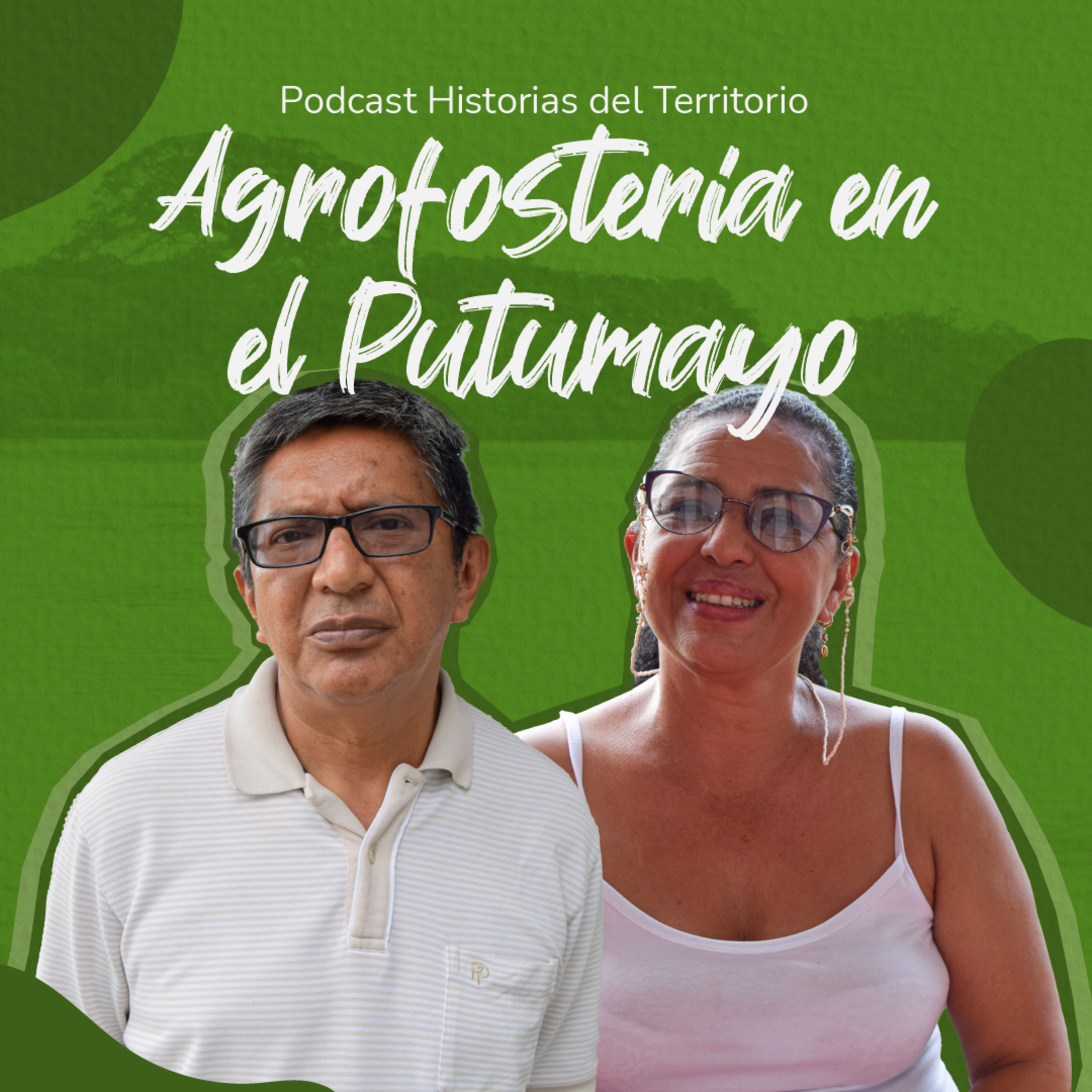 Historias del territorio