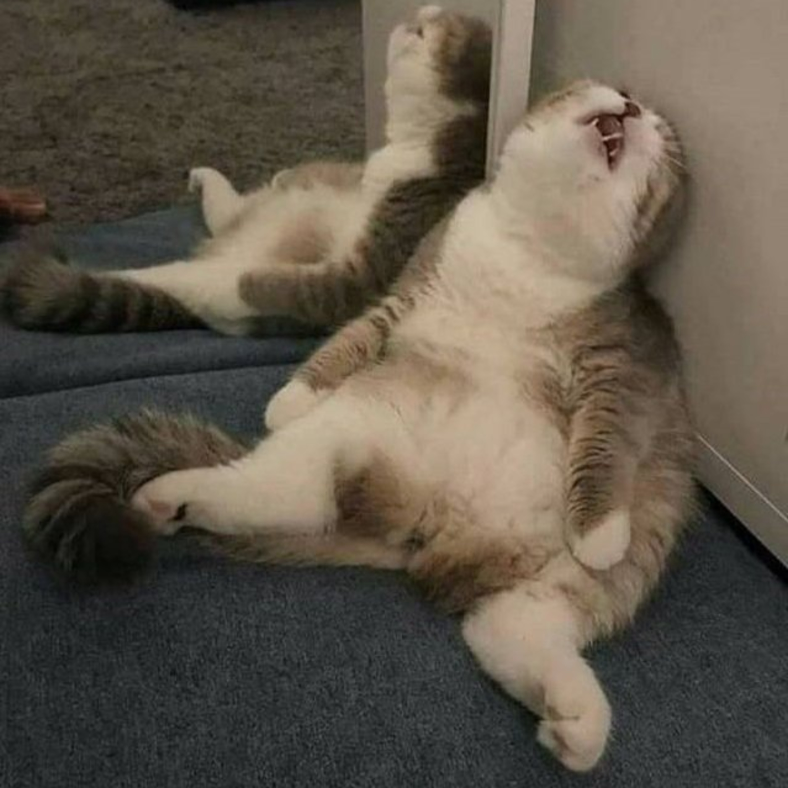 You Name It! by Dimas Adi Pradana