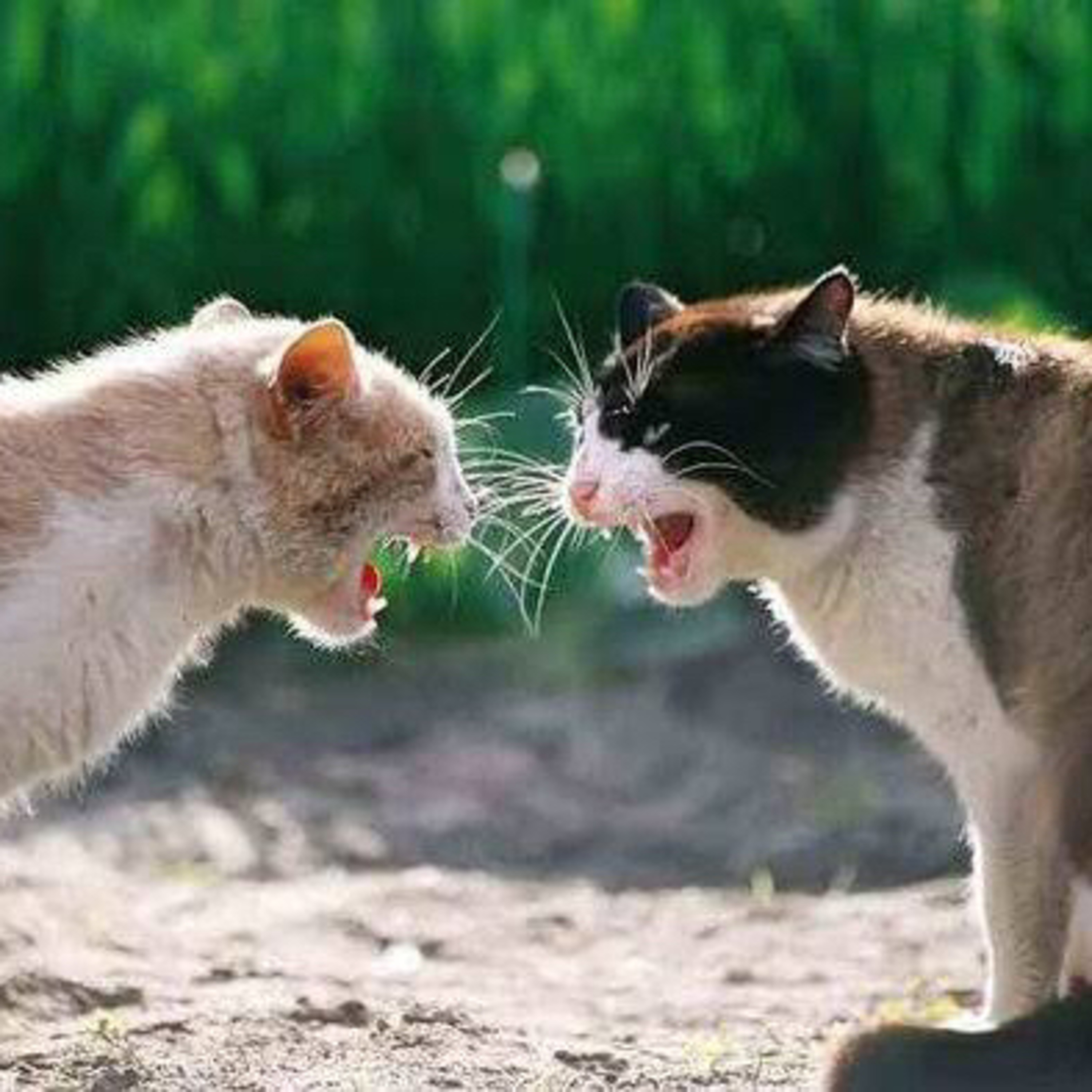 You Name It! by Dimas Adi Pradana