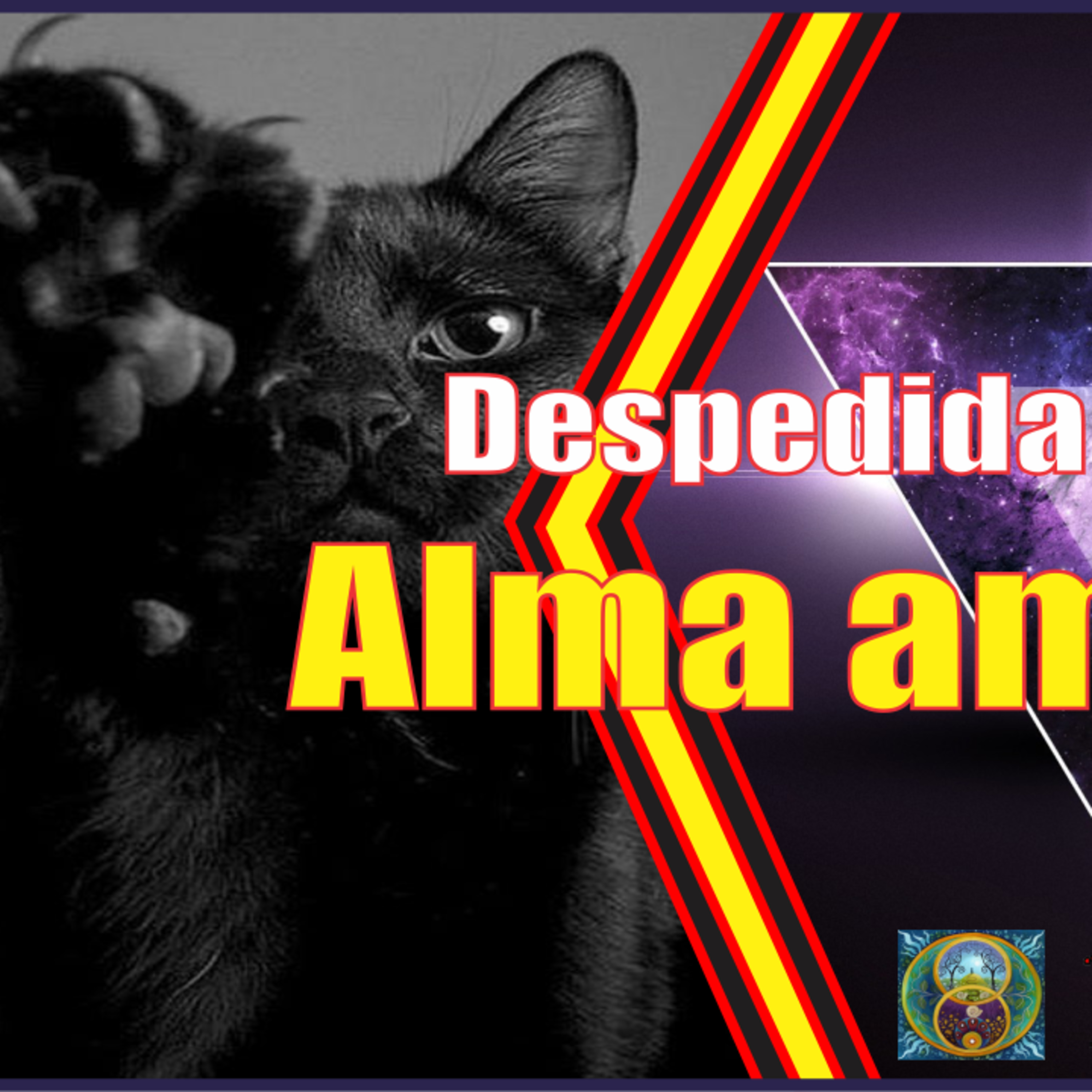 #Podcast 5 - Despedida a uma Alma amiga episode artwork