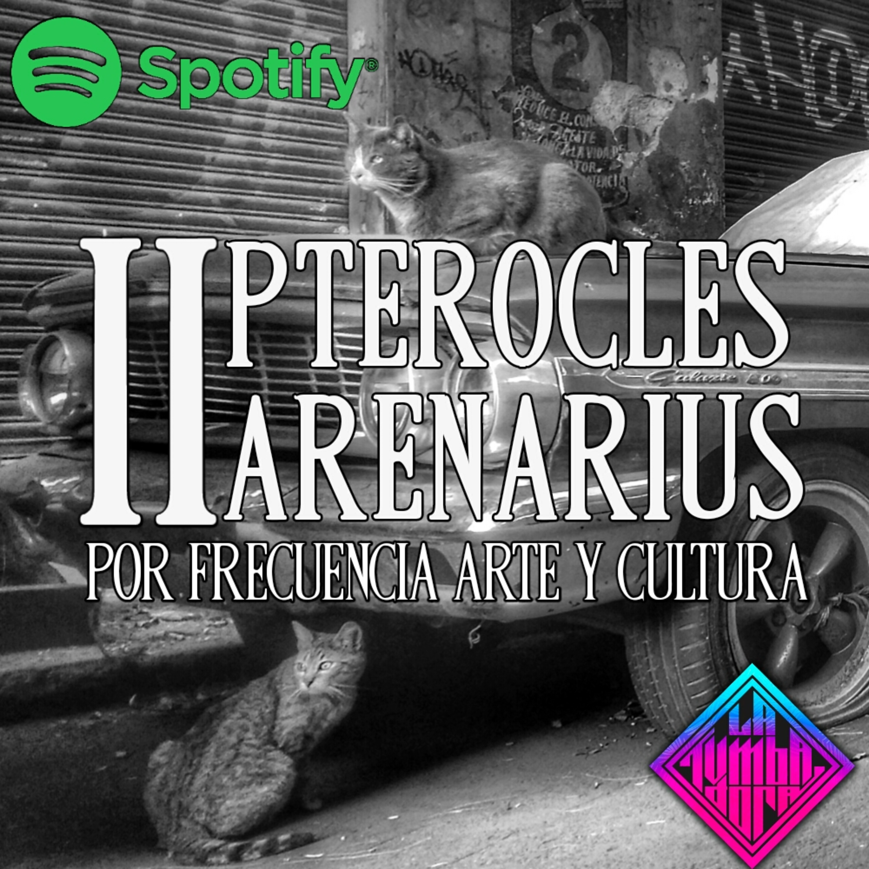 Frecuencia Arte y Cultura.