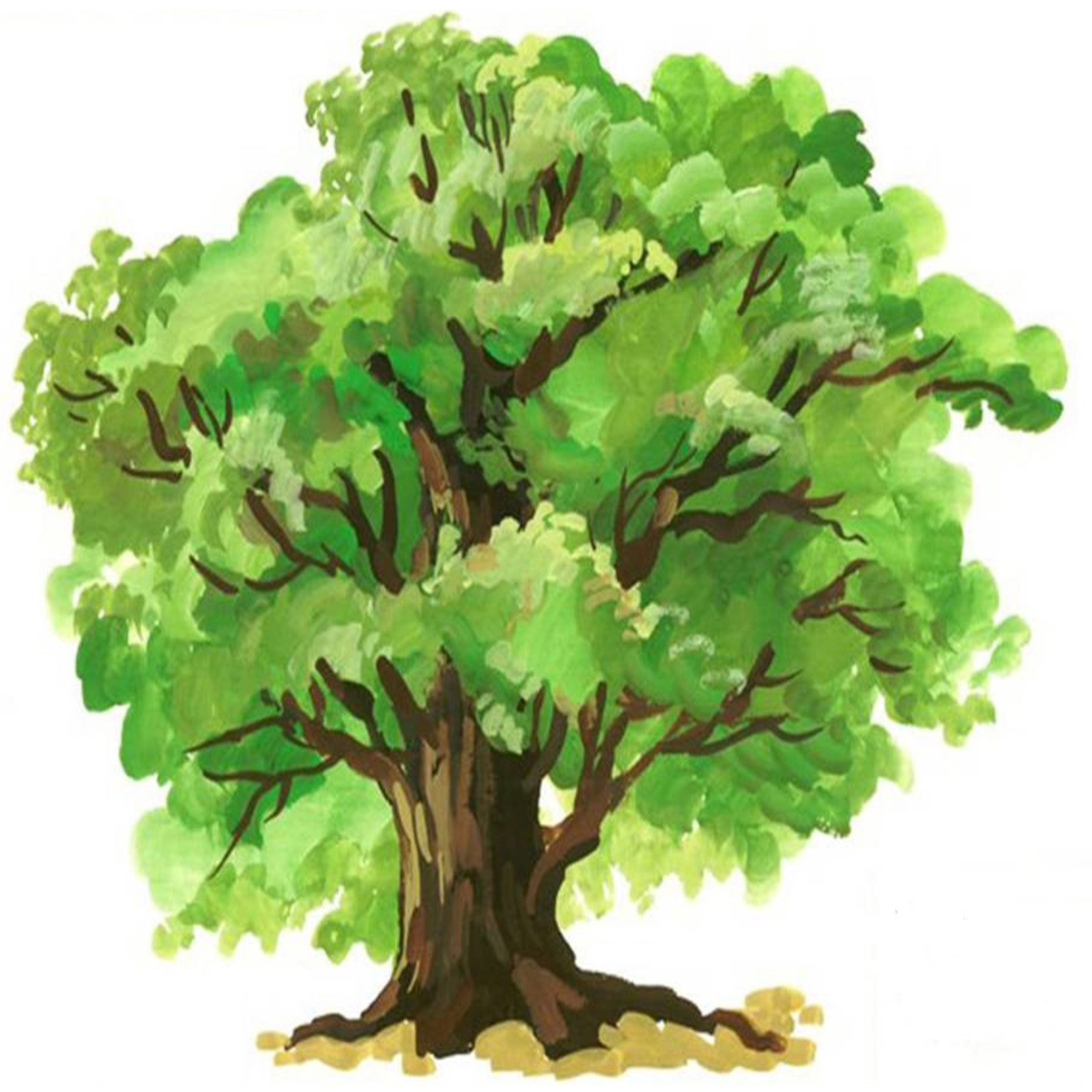 Психозаметки / Psy notes