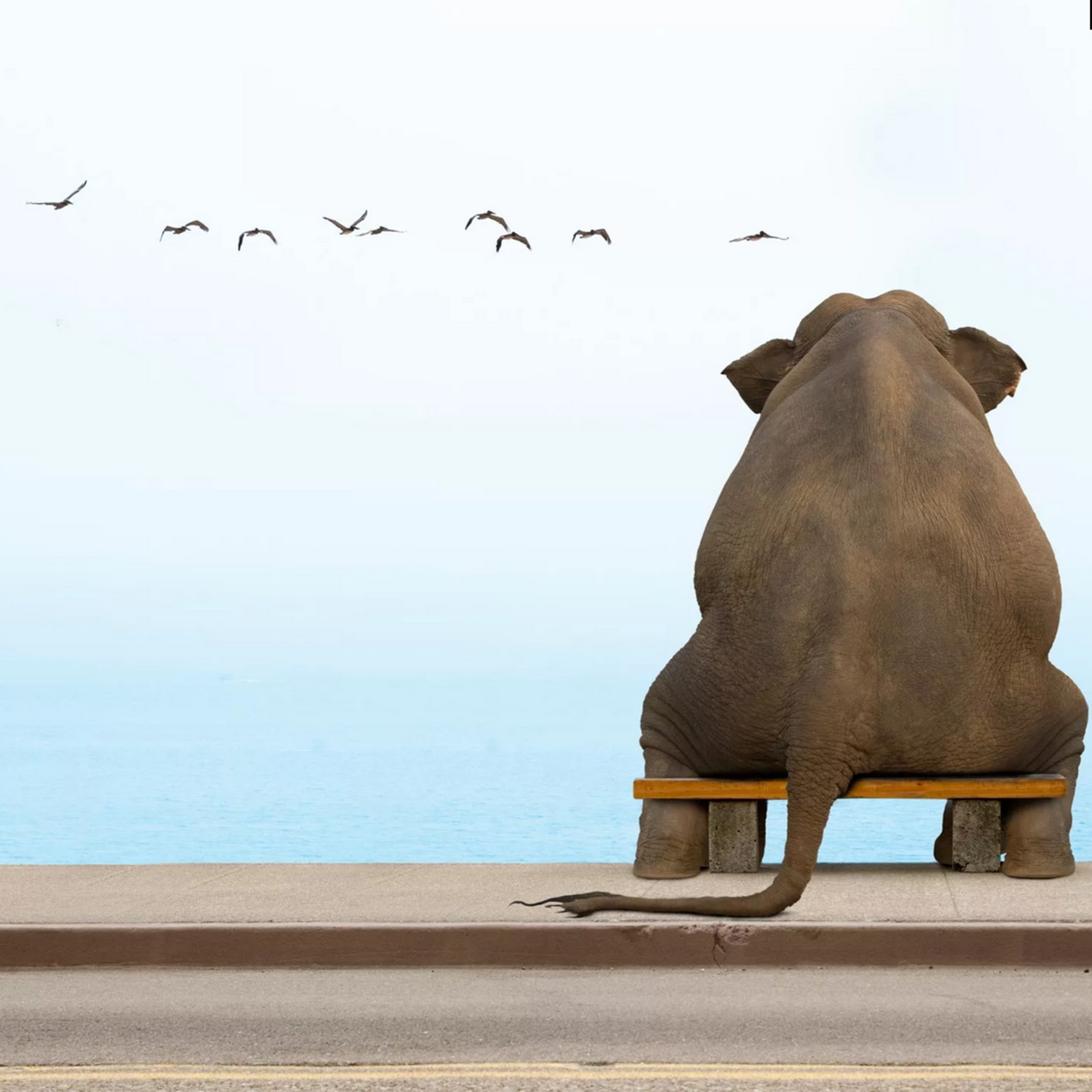 Психозаметки / Psy notes