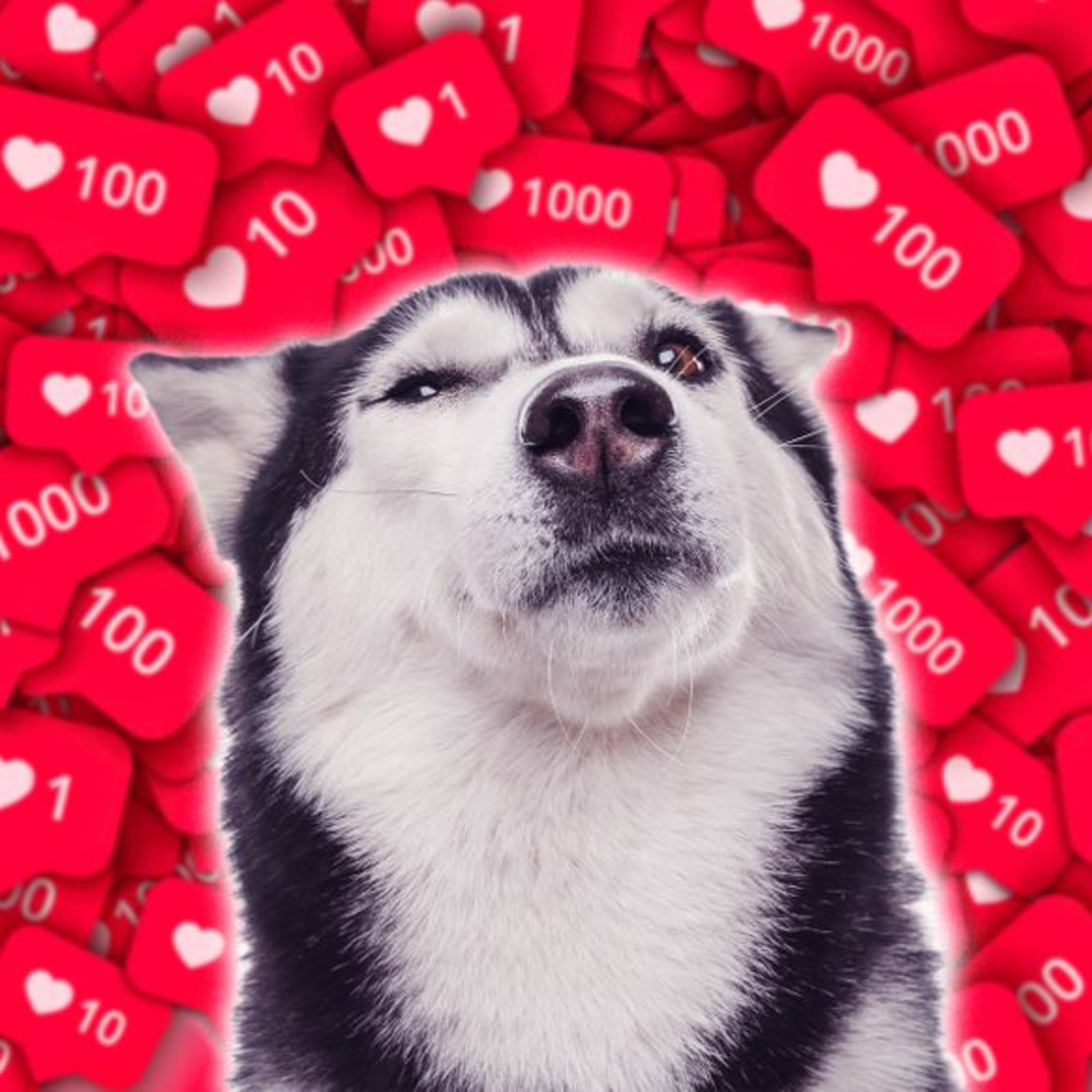 Психозаметки / Psy notes