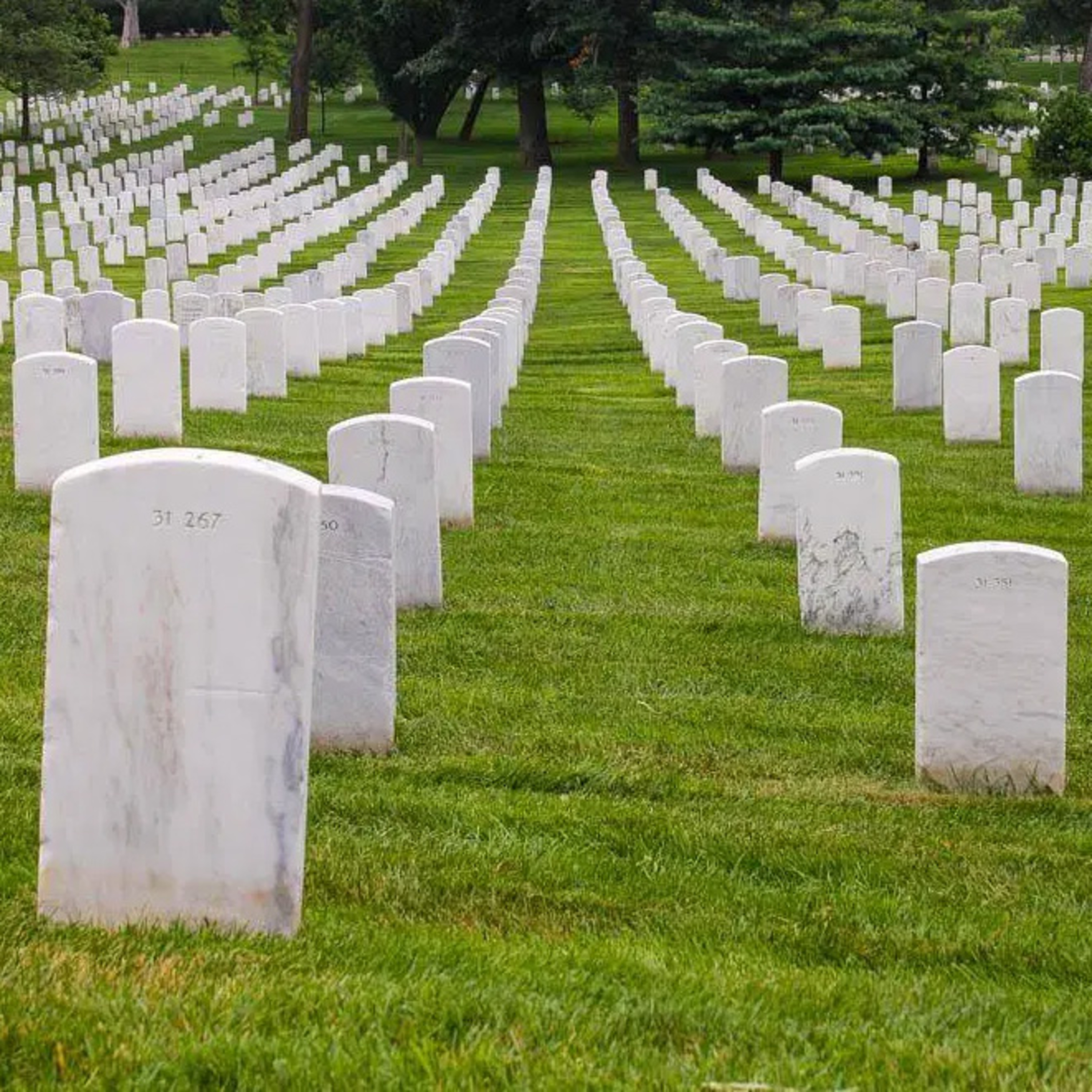 Психозаметки / Psy notes