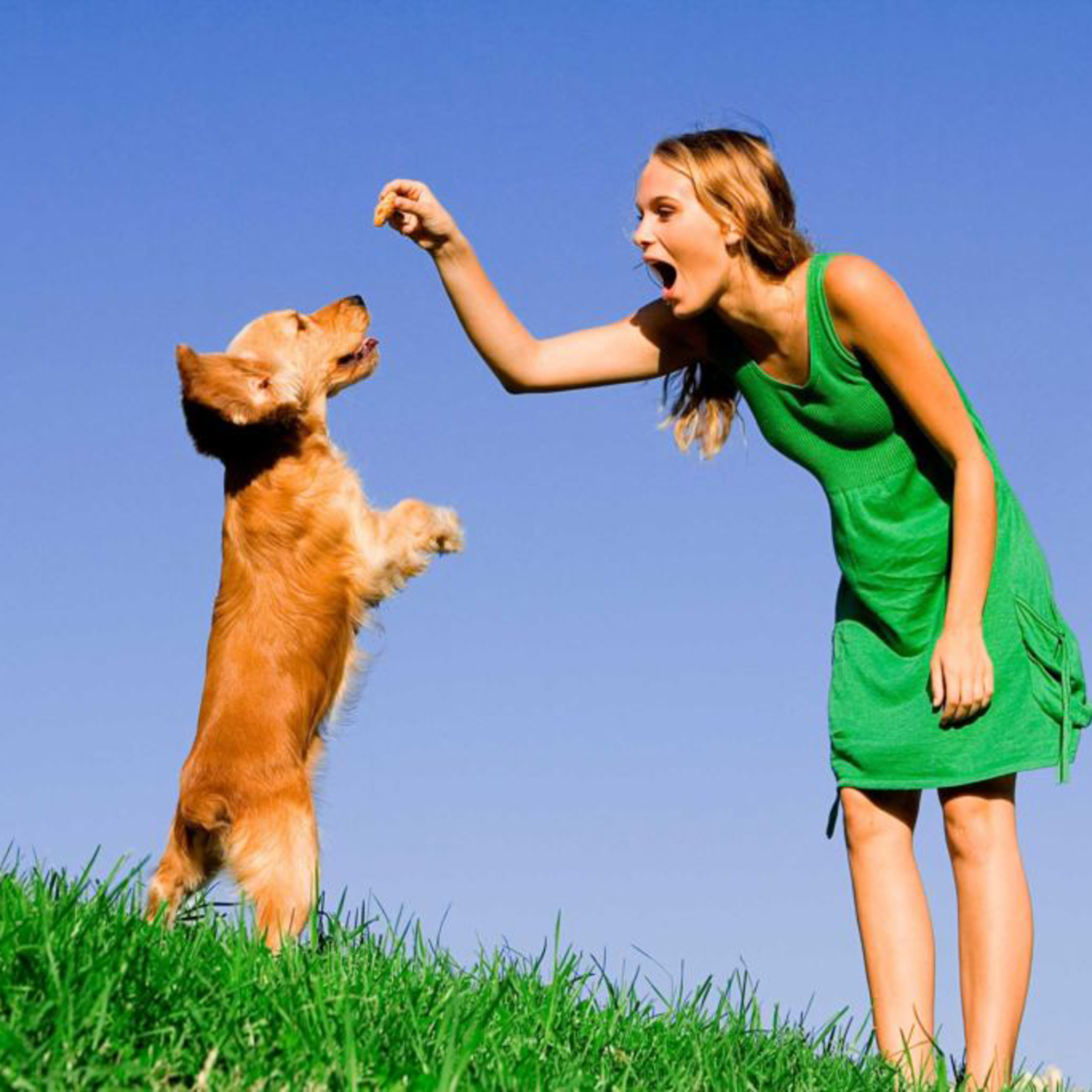 Психозаметки / Psy notes